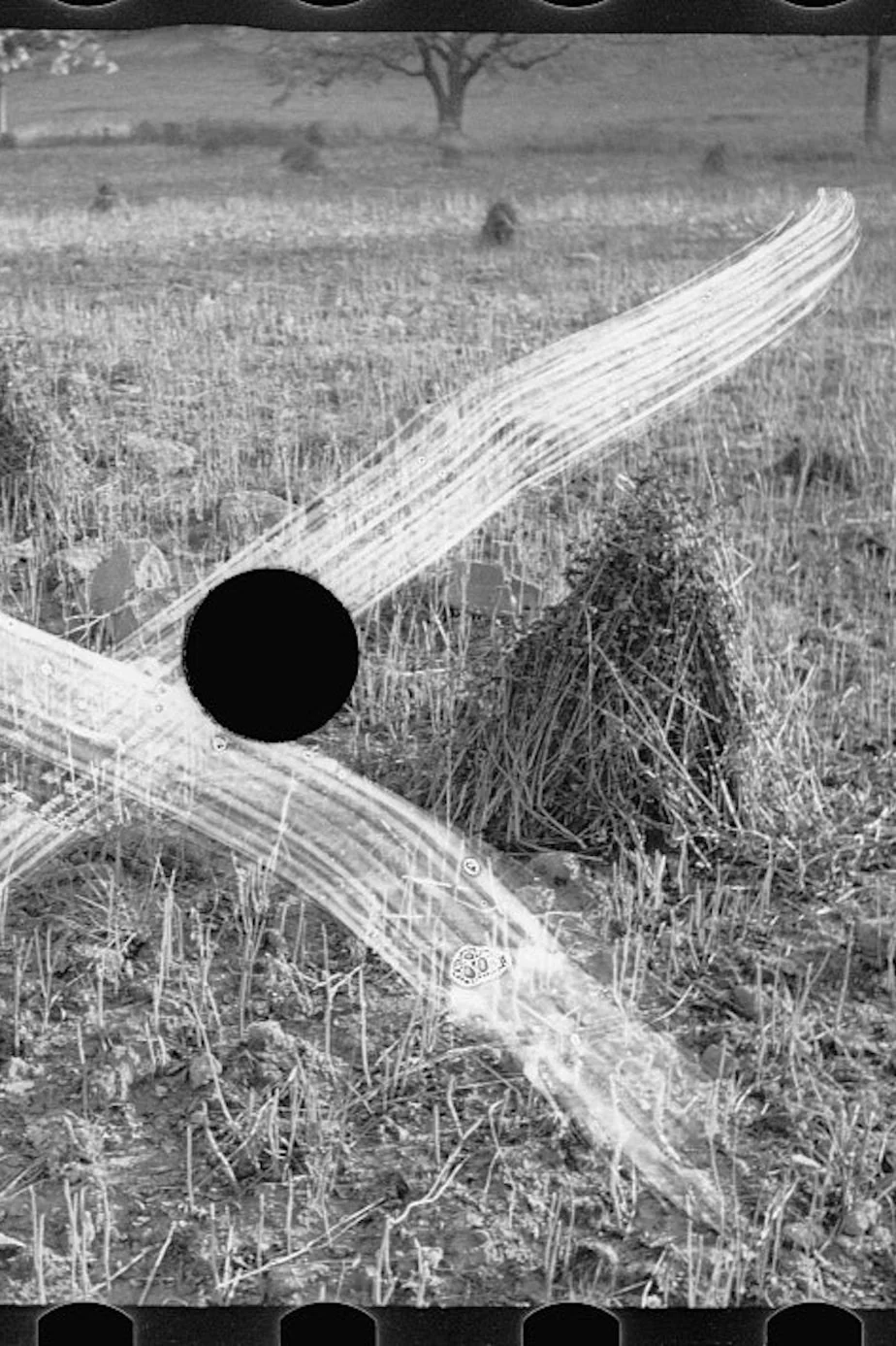 Essay: “The Kept And The Killed”