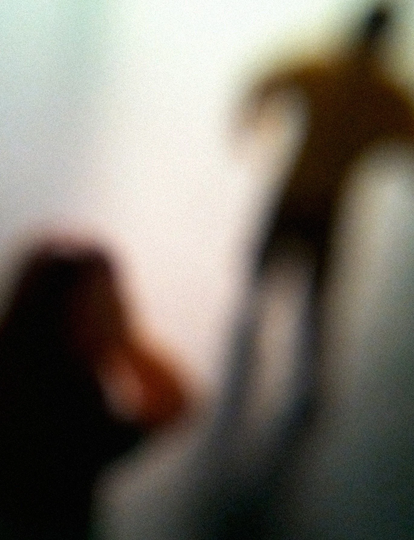 Grace Weston To Address January PPF Membership Meeting