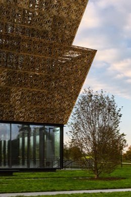 American History We Weren’t Taught In School Now Free During Black History Month