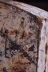 Get To Know: Harold Mendez