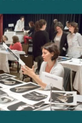 Photolucida Is Looking For Volunteers