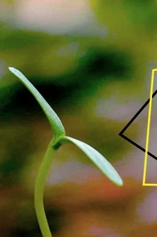 4/12 Deadline To Enter Artist’s Vision Exhibition