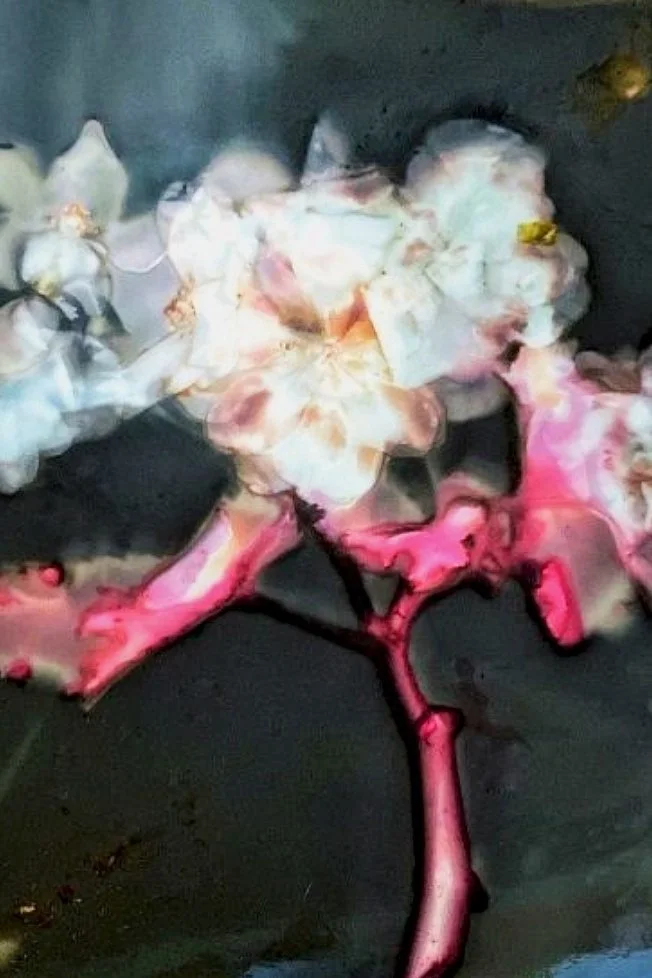 Julie Moore “Visions” Reception 9/10/2022 4pm PDT At LightBox Photographic Gallery In Astoria