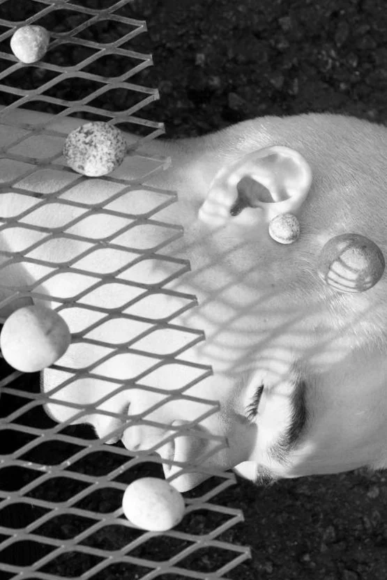 Training Opportunity: From Personal Projects to Professional Assignments