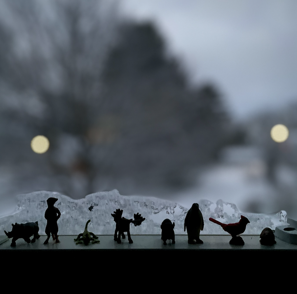 Maine.┬⌐Reid Callanan.png