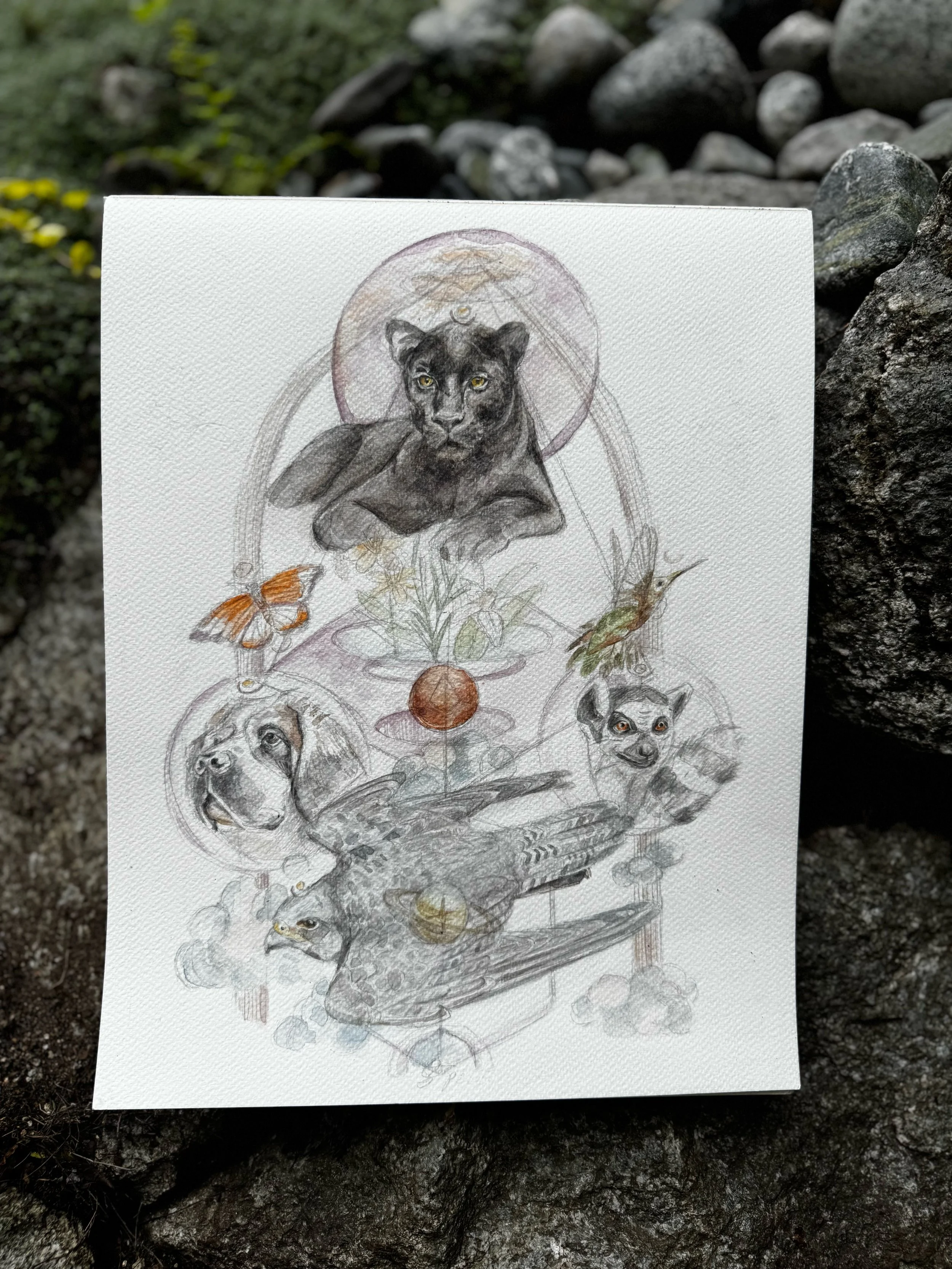 A detailed artistic drawing featuring a black panther at the center, surrounded by various animals including a dog, bird, butterfly, and eagle, with decorative elements like flowers and circular backgrounds.