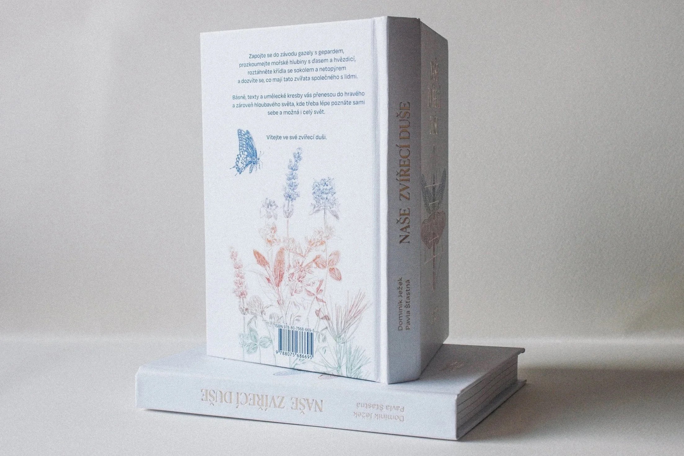 Book Illustration & Design