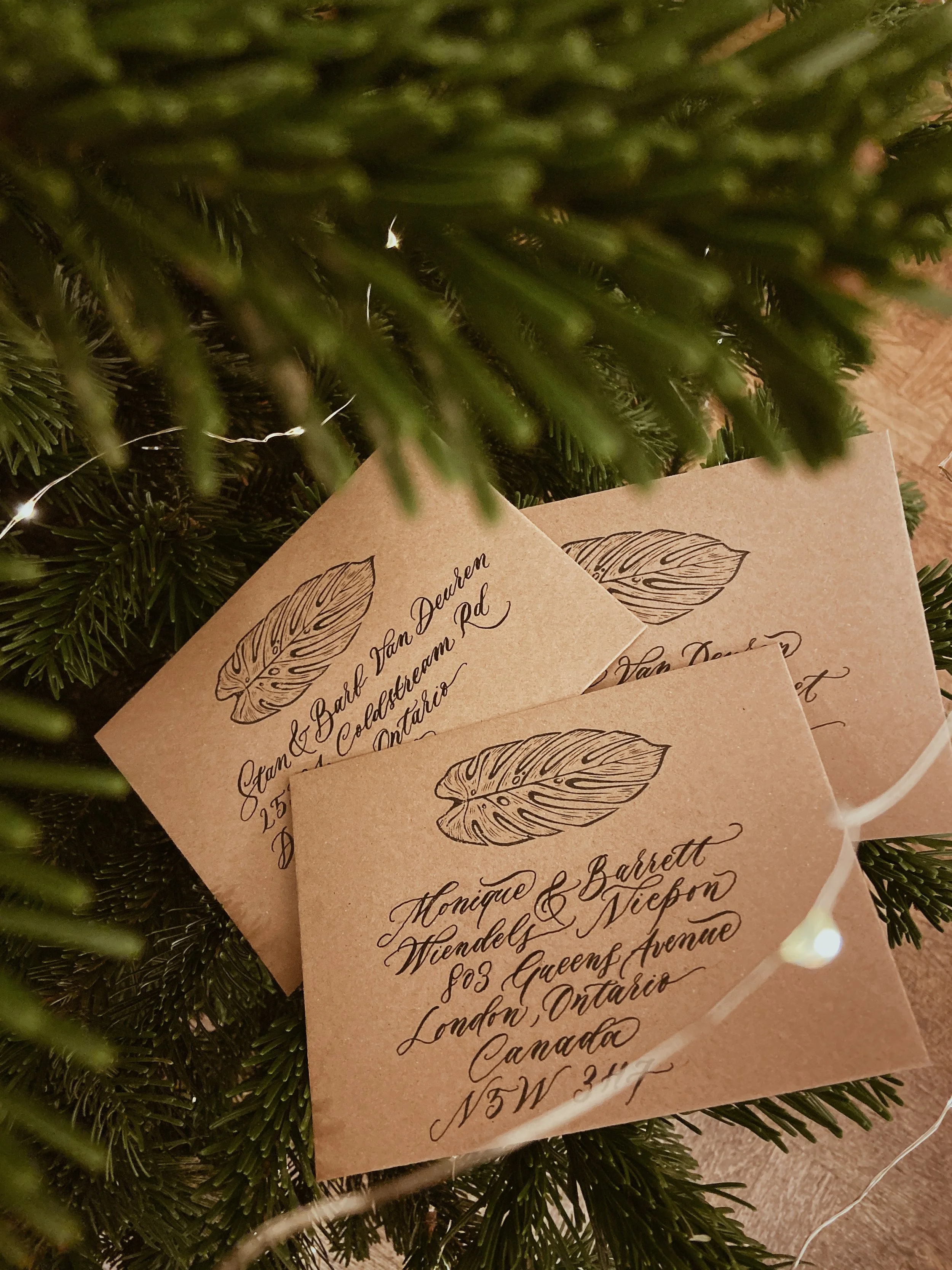 Close-up of brown paper envelopes with handwritten calligraphy addresses and a leaf illustration, attached to a Christmas tree with string lights.