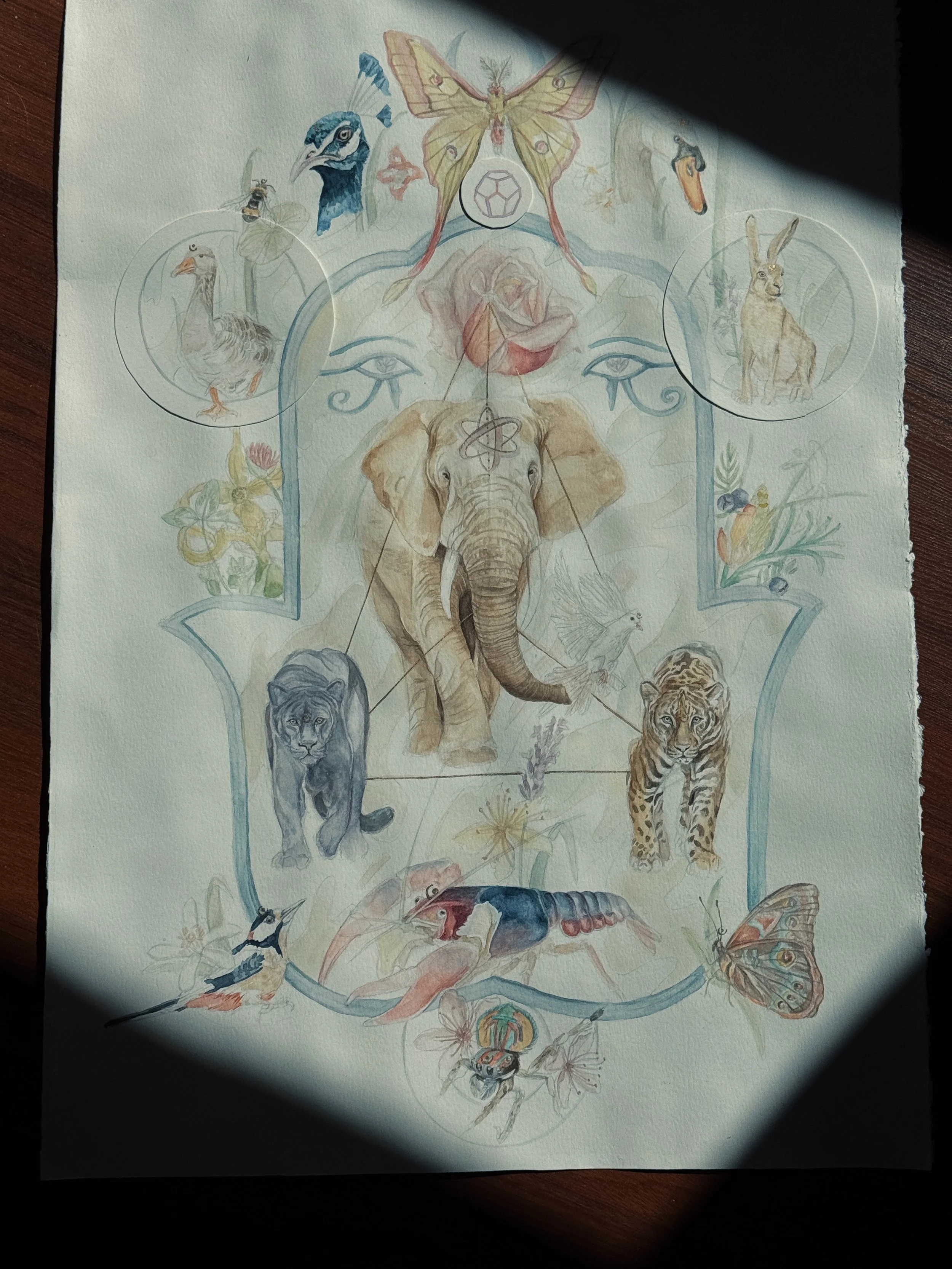 C7C2777B-2D3D-4170-A0C9-820D380950A6.JPG