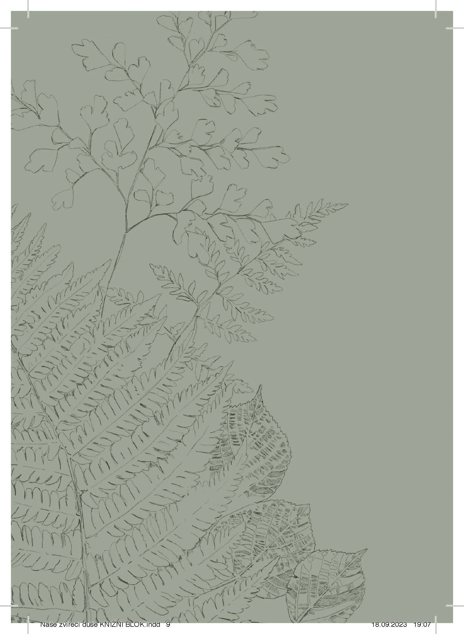 Naše zvířecí duše KNIŽNÍ BLOK (kopie)_Stránka_009.jpg
