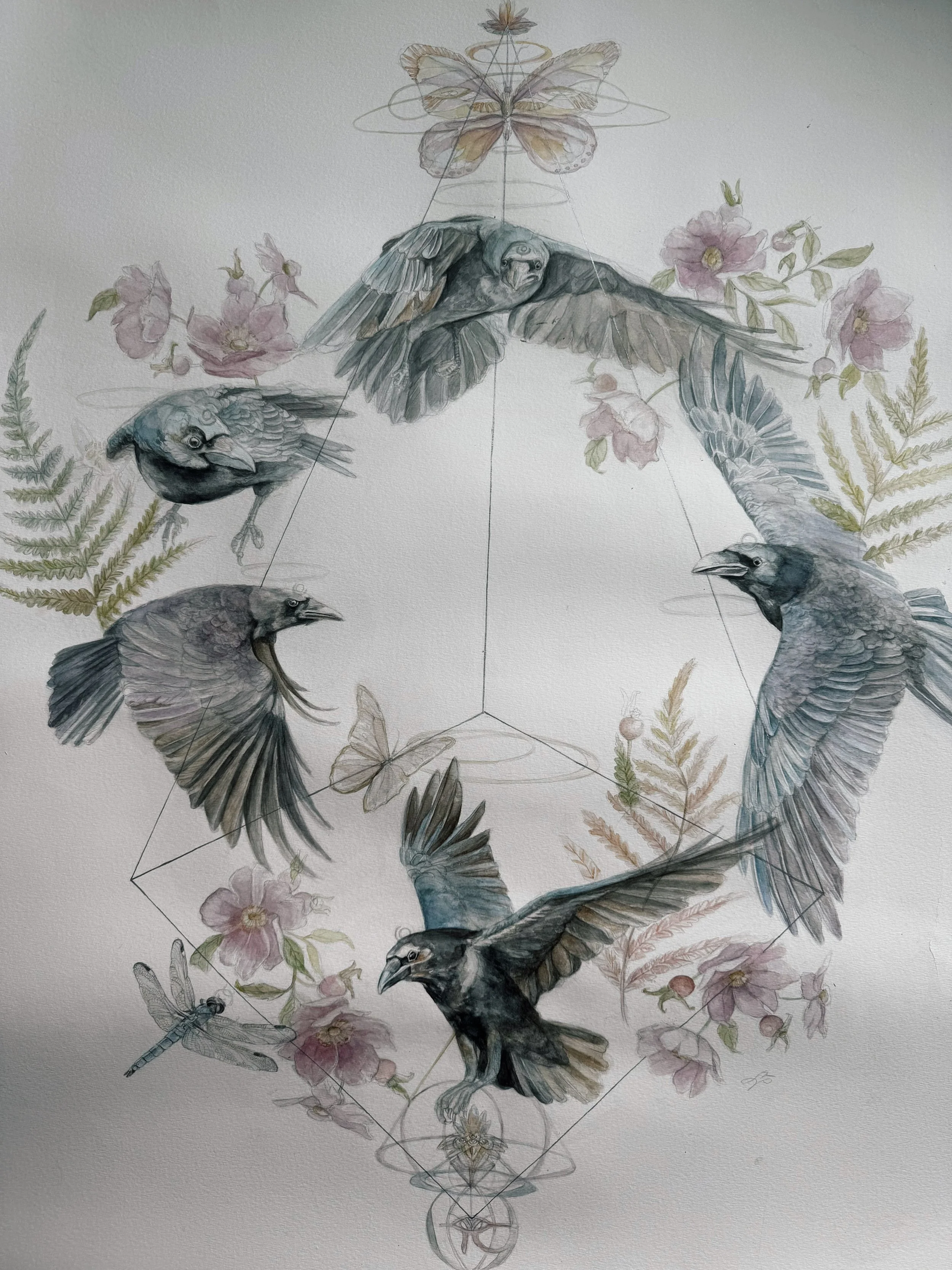 RAVENS