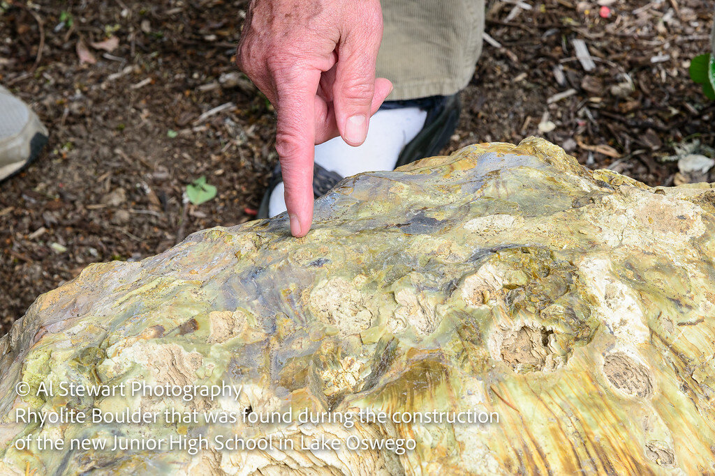 Rhyolite Boulder