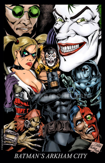 BATMAN - "Batman's Arkham City" Art Print (11x17)
