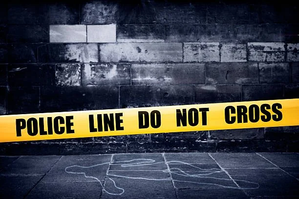 Bizarre Mysteries: Psychics Who Solve Crimes