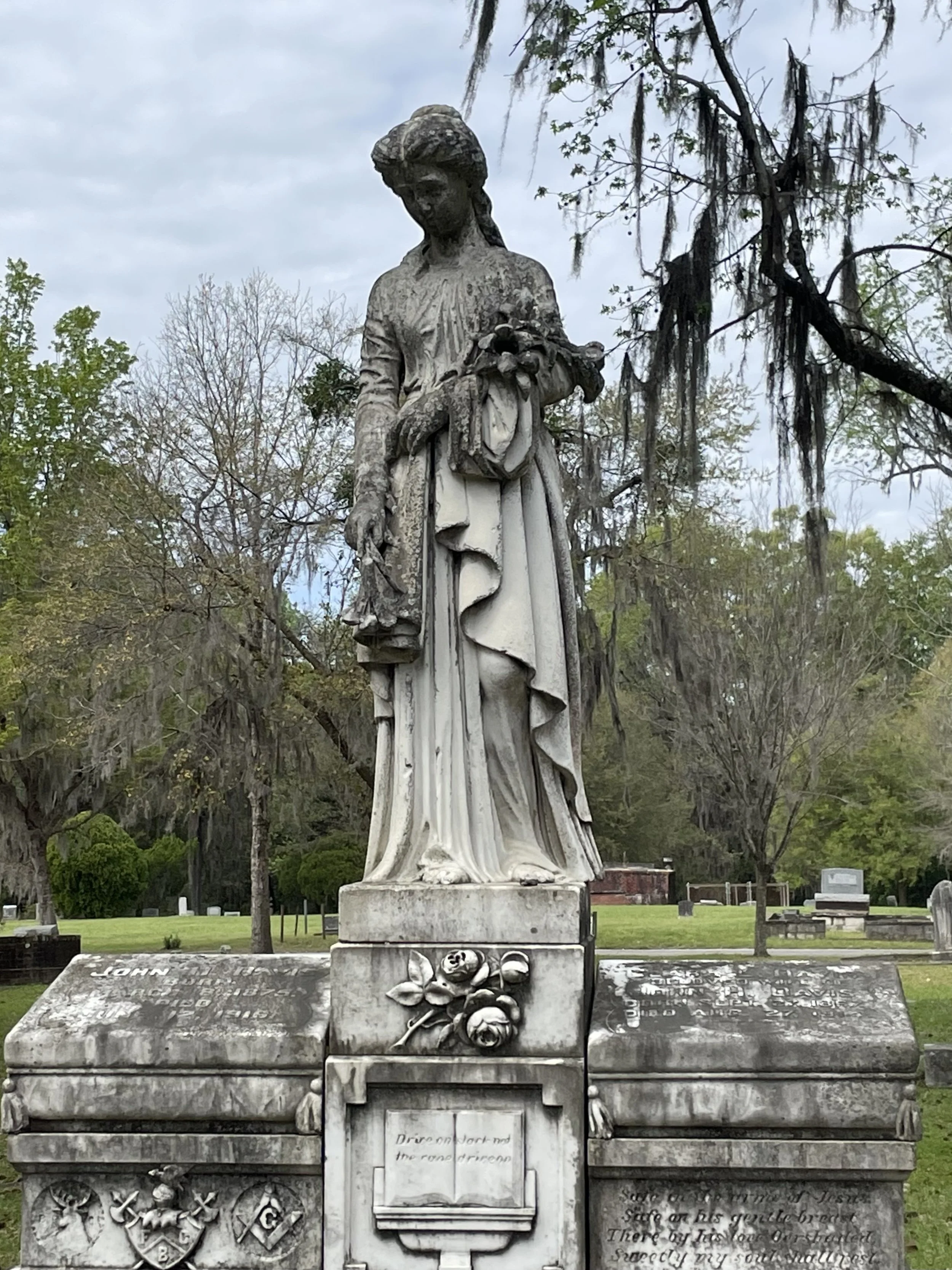 Savannah or Bust—Part Deux: Orbs, orbs, everywhere!