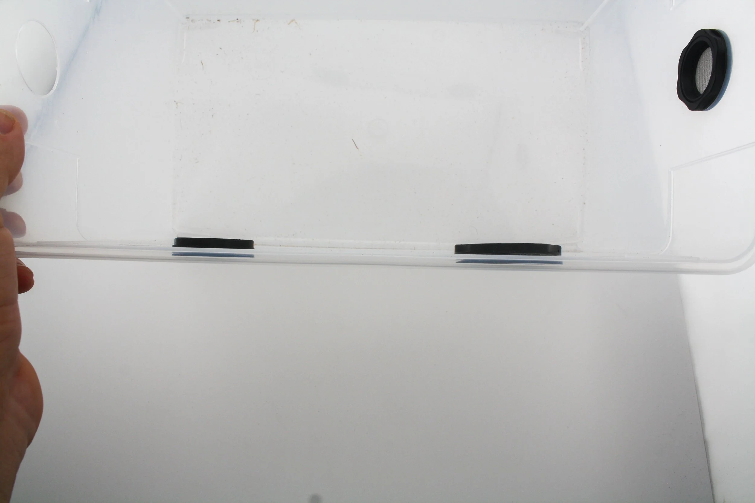 IMG_3919.jpg (Copy) (Copy) (Copy) (Copy) (Copy)