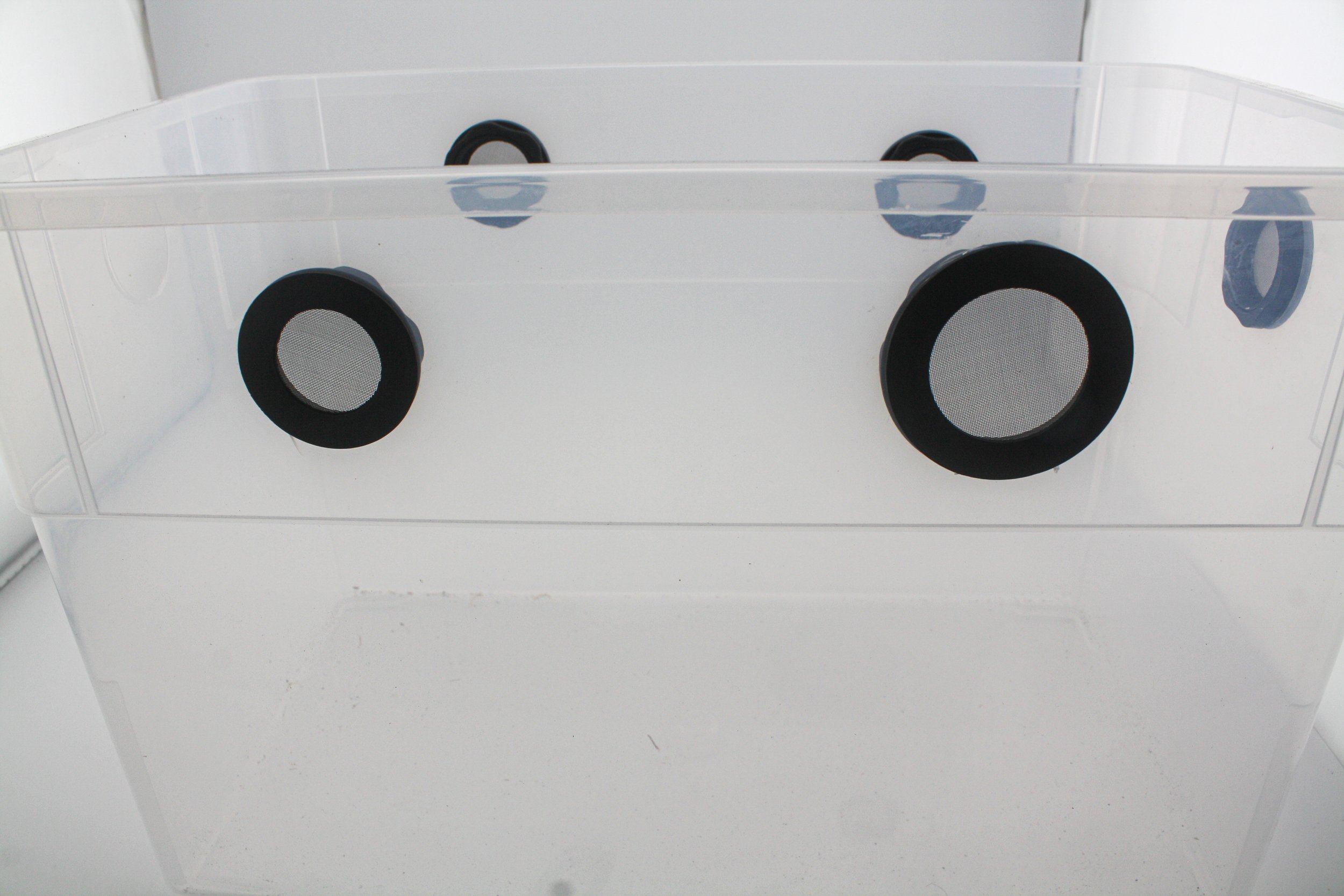 IMG_3917.jpg (Copy) (Copy) (Copy) (Copy) (Copy)