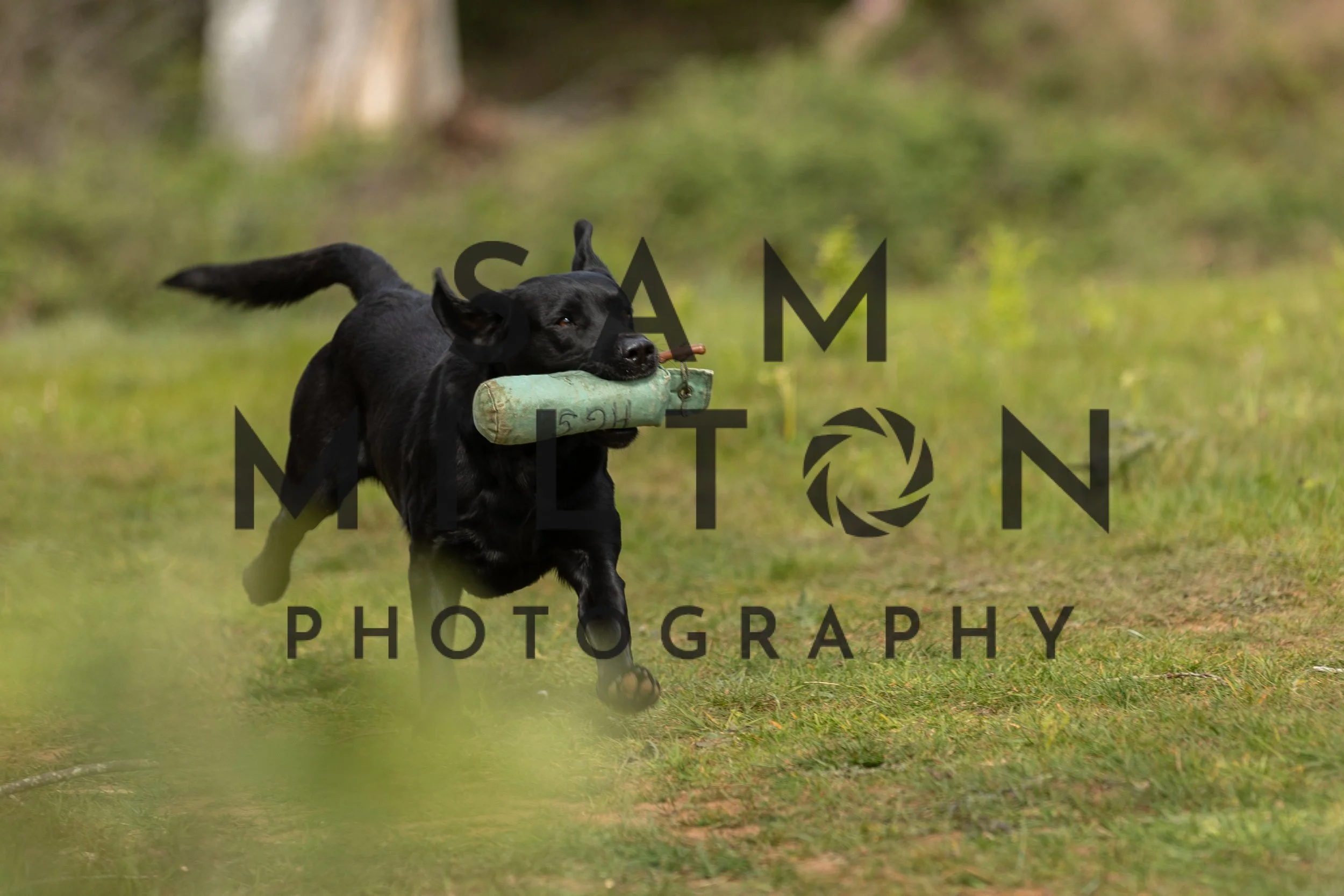 Gun Dog Challenge-119.jpg