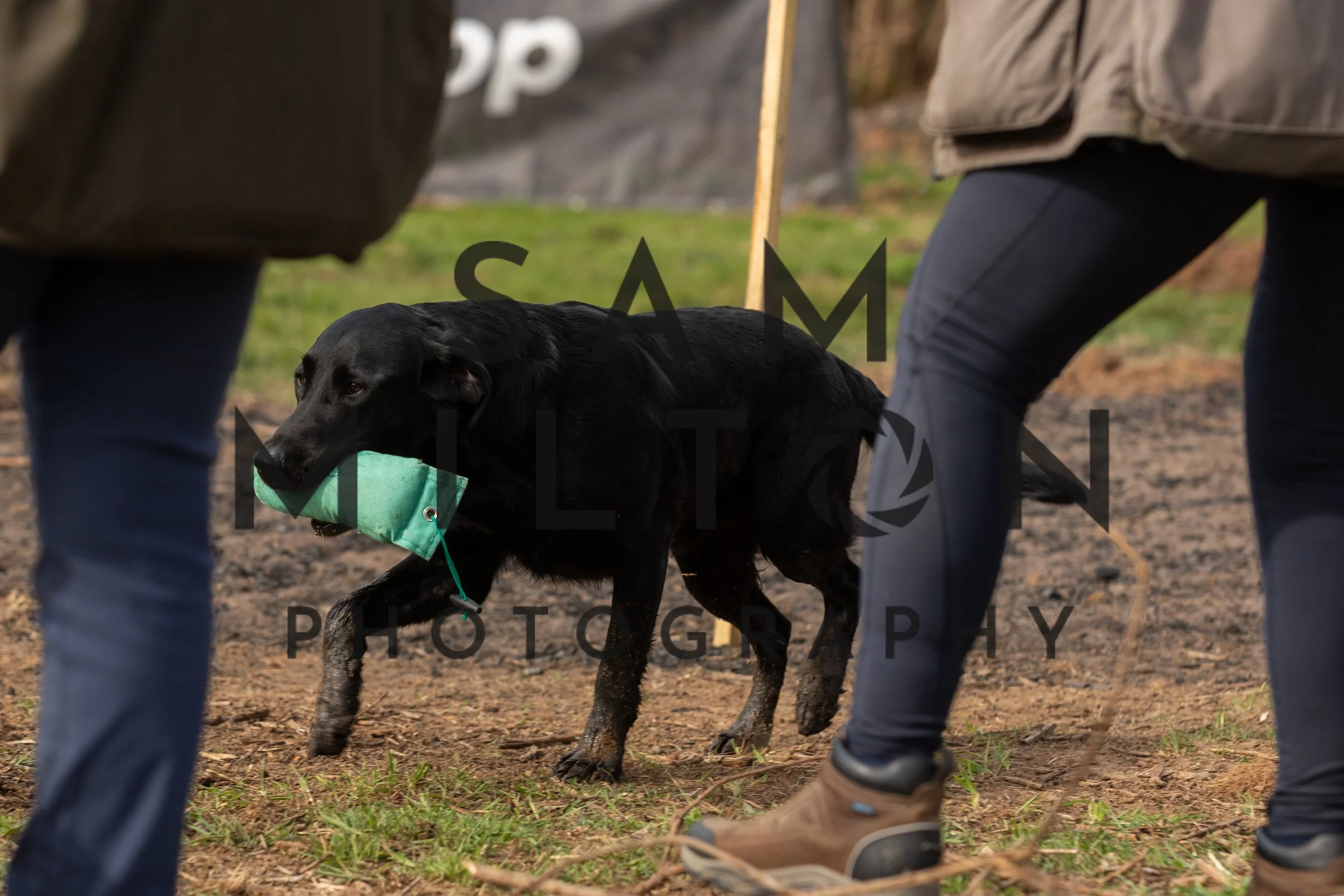 Gun Dog Challenge-75.jpg