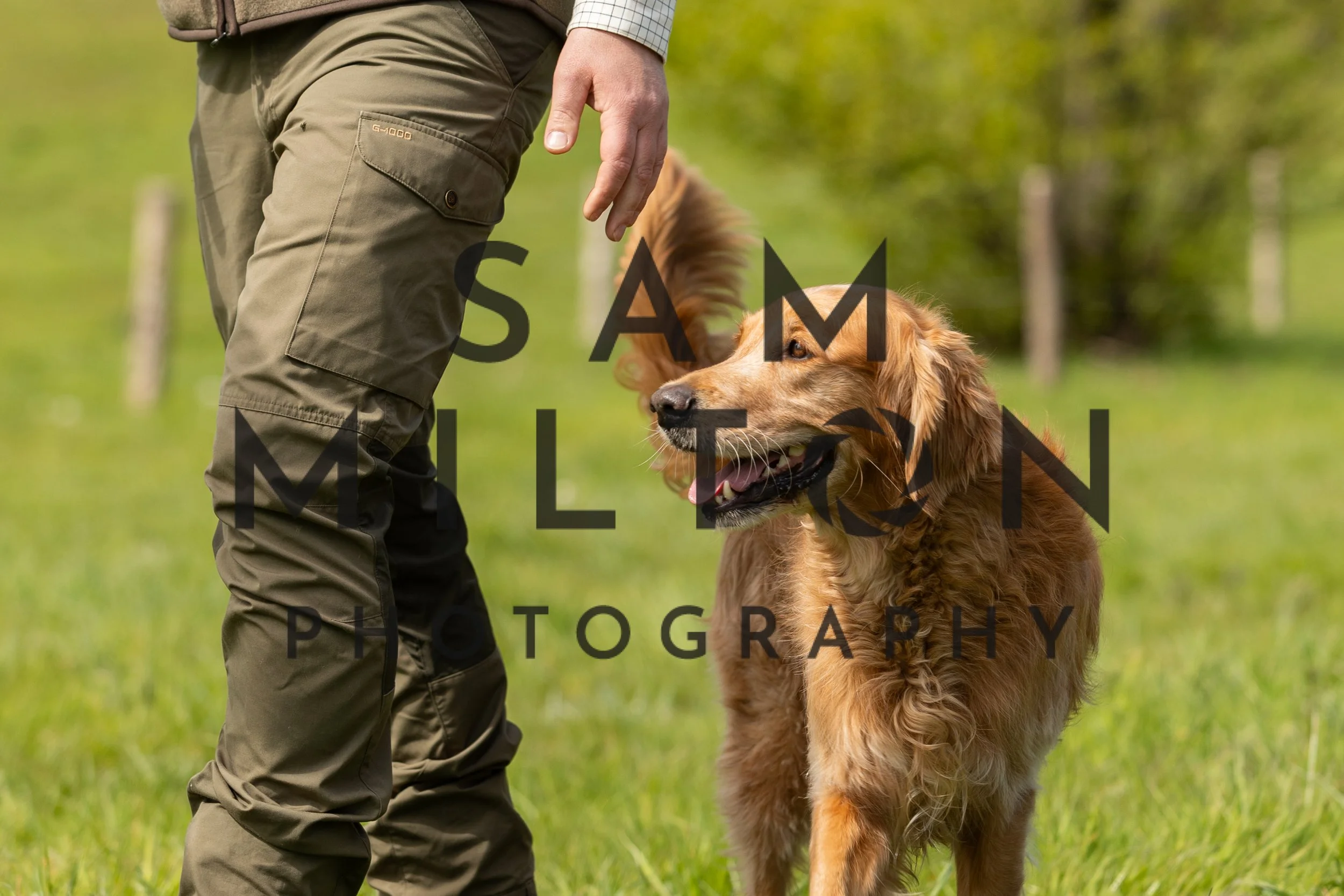 Gun Dog Challenge-191.jpg