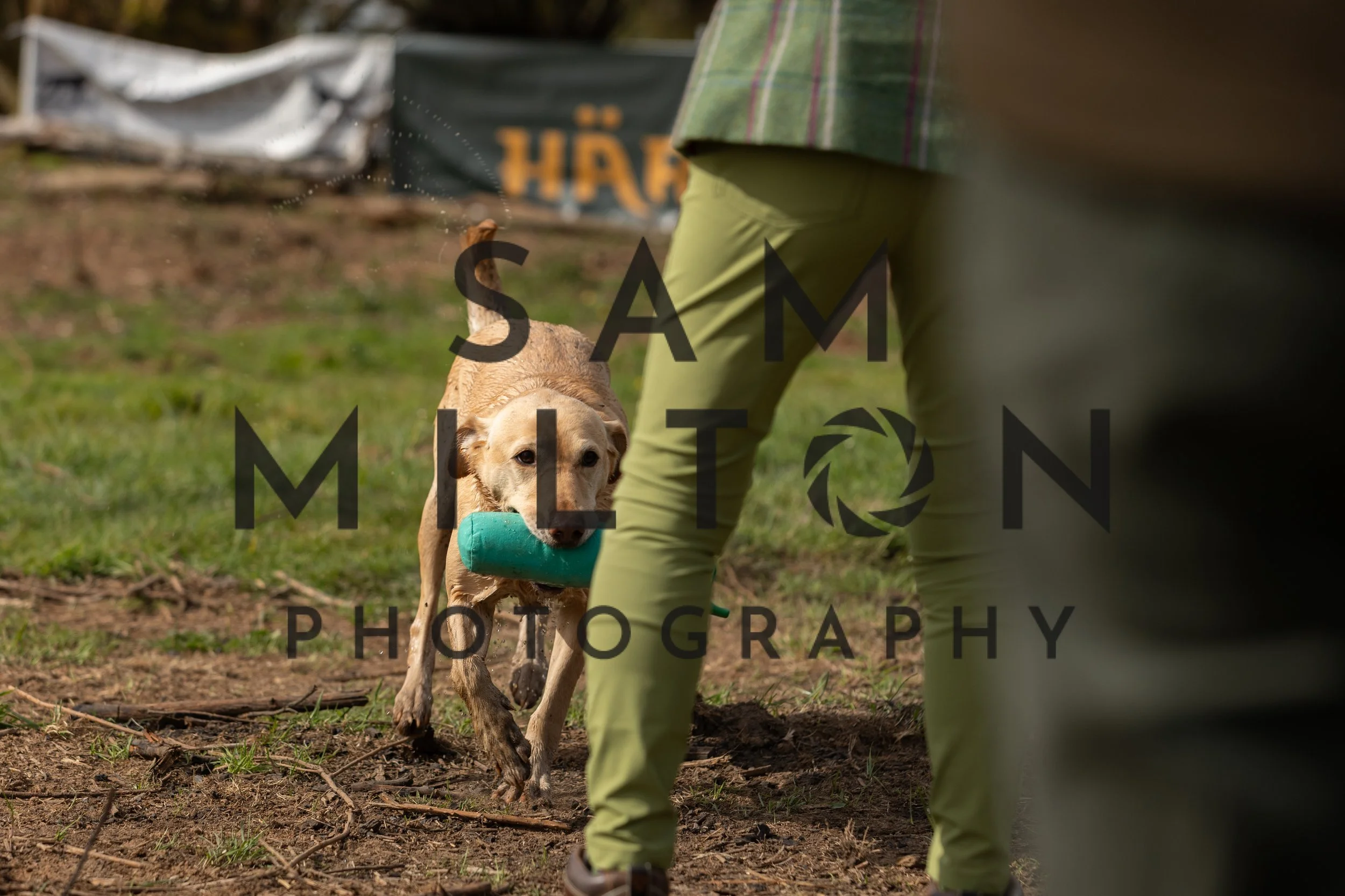 Gun Dog Challenge-99.jpg