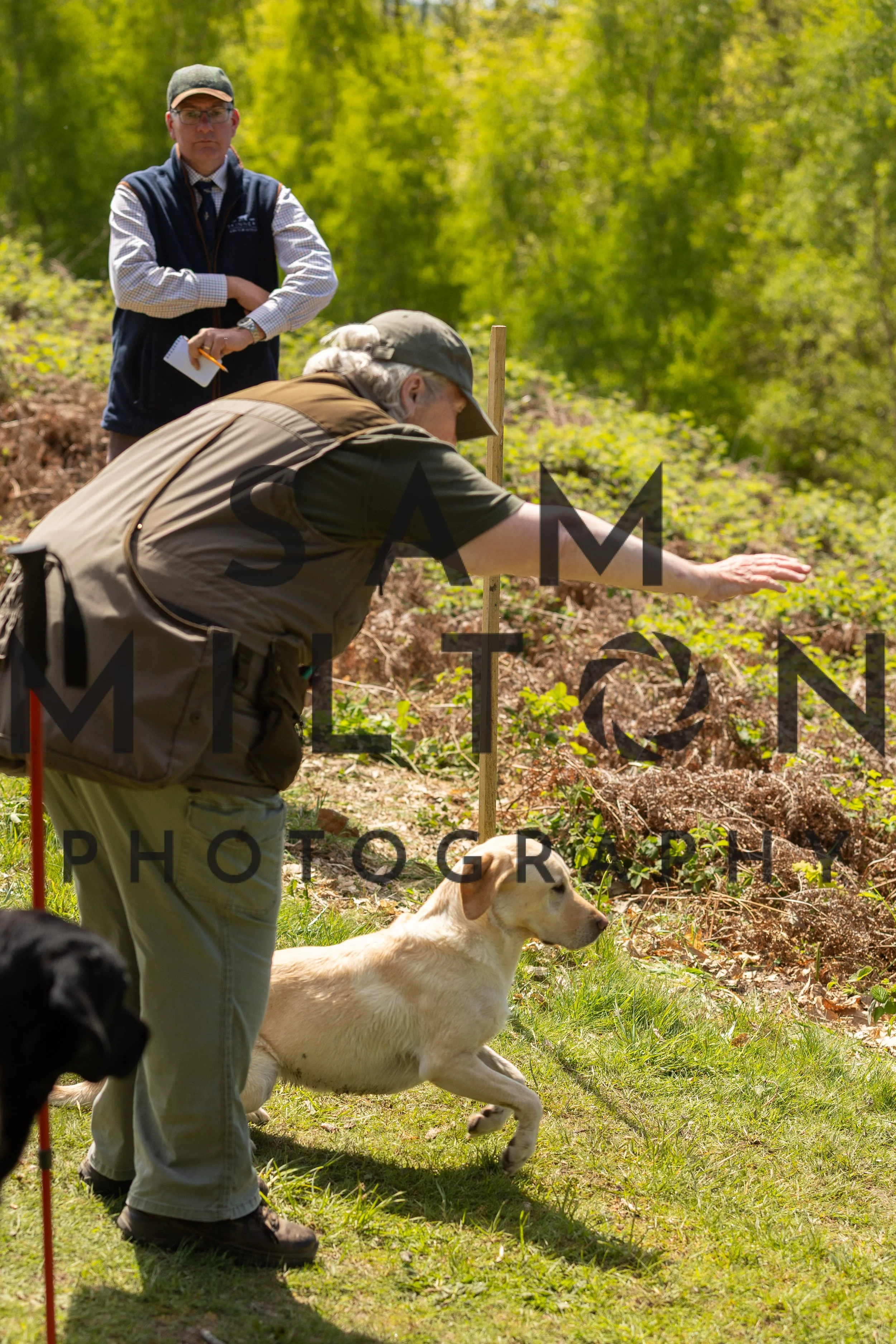 Gun Dog Challenge-272.jpg