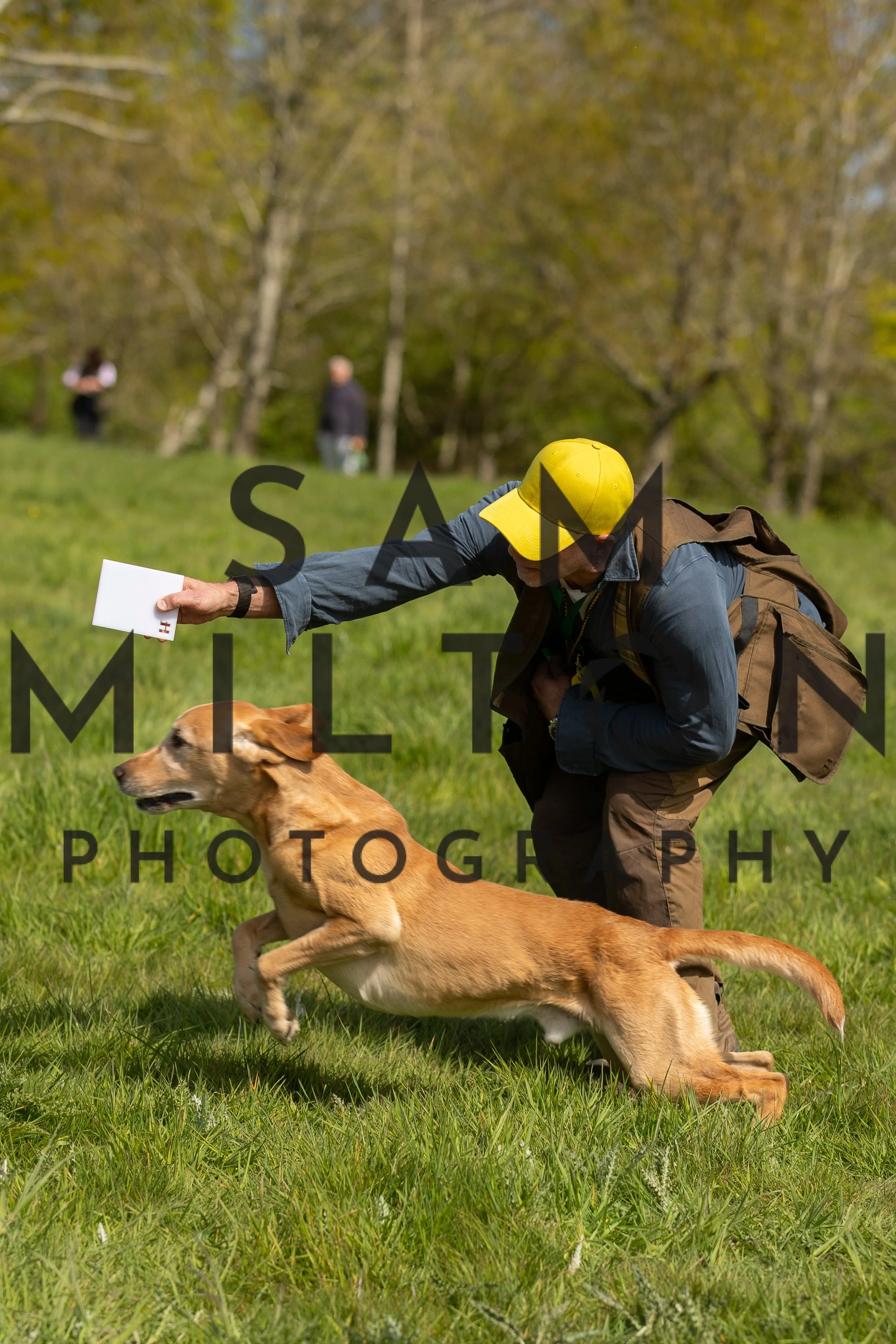 Gun Dog Challenge-209.jpg