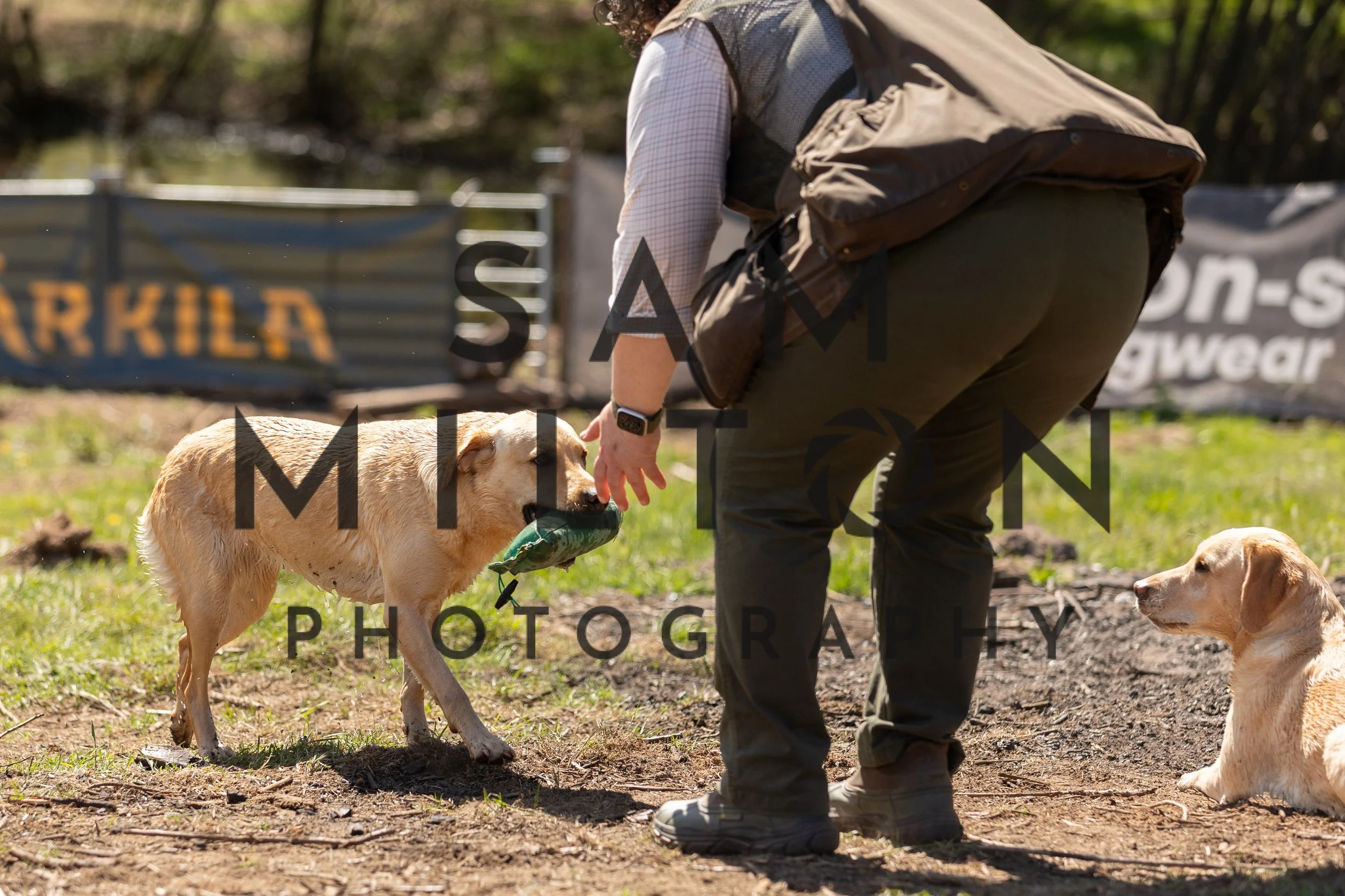 Gun Dog Challenge-364.jpg