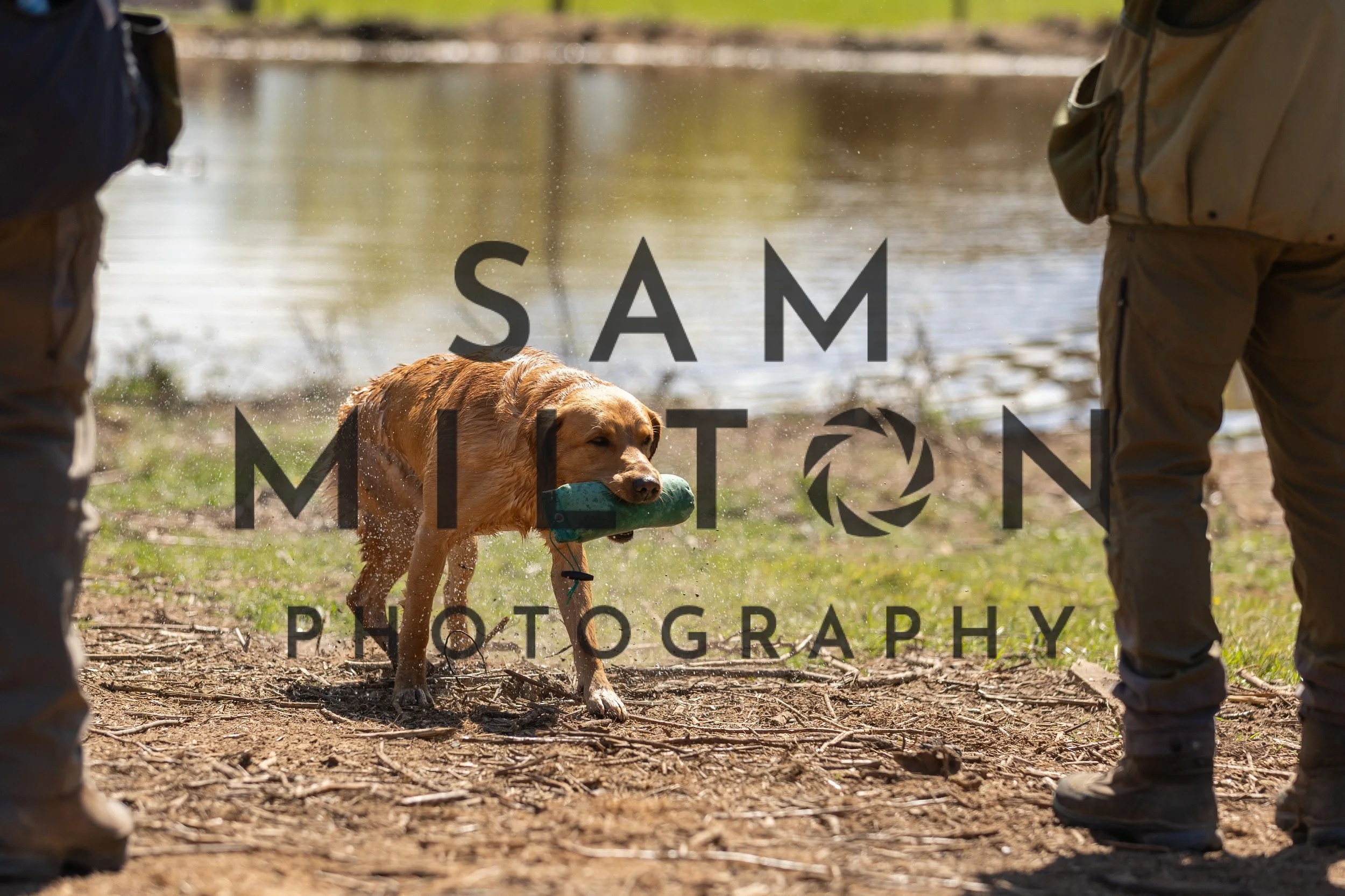 Gun Dog Challenge-349.jpg