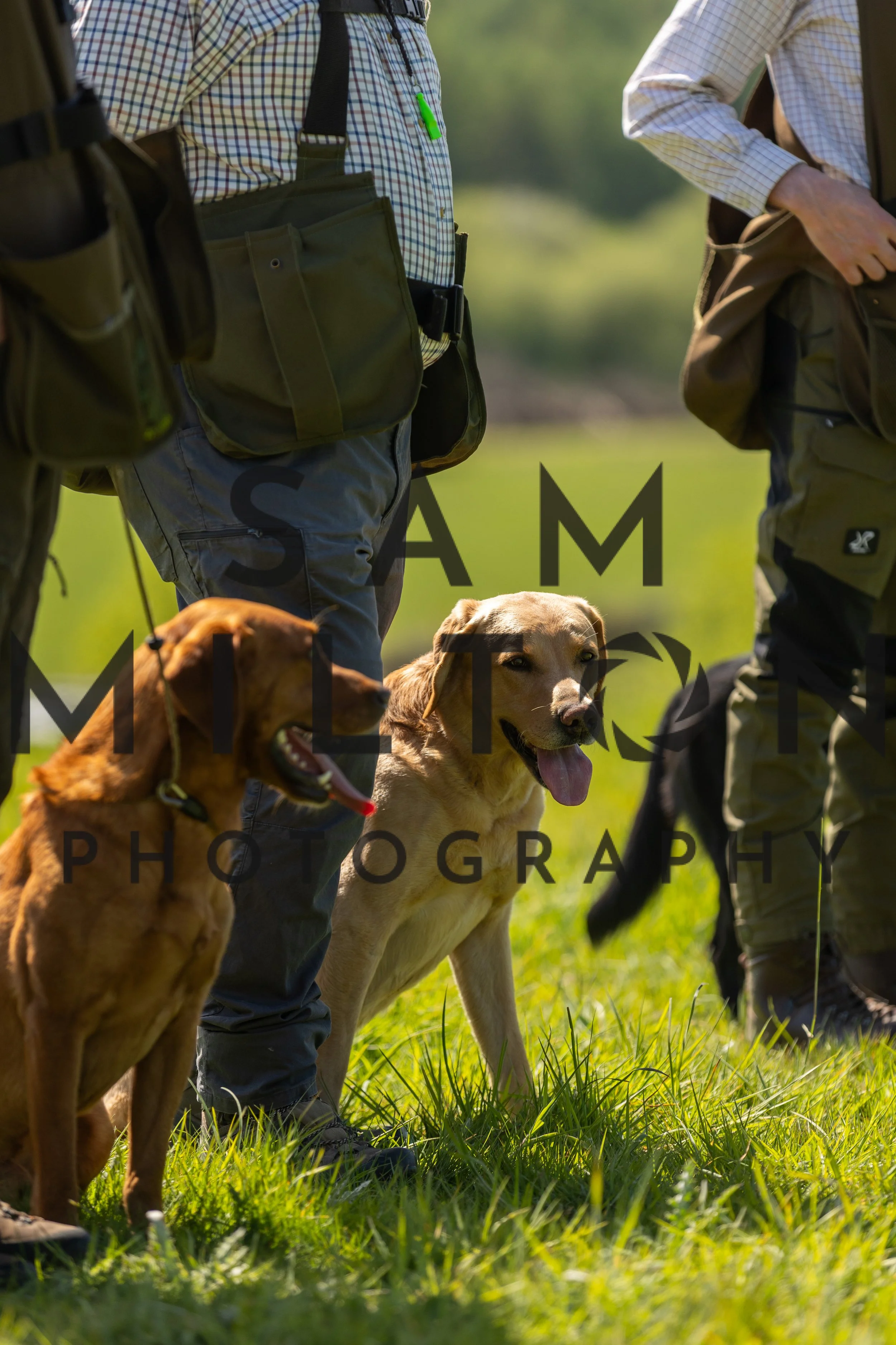 Gun Dog Challenge-247.jpg