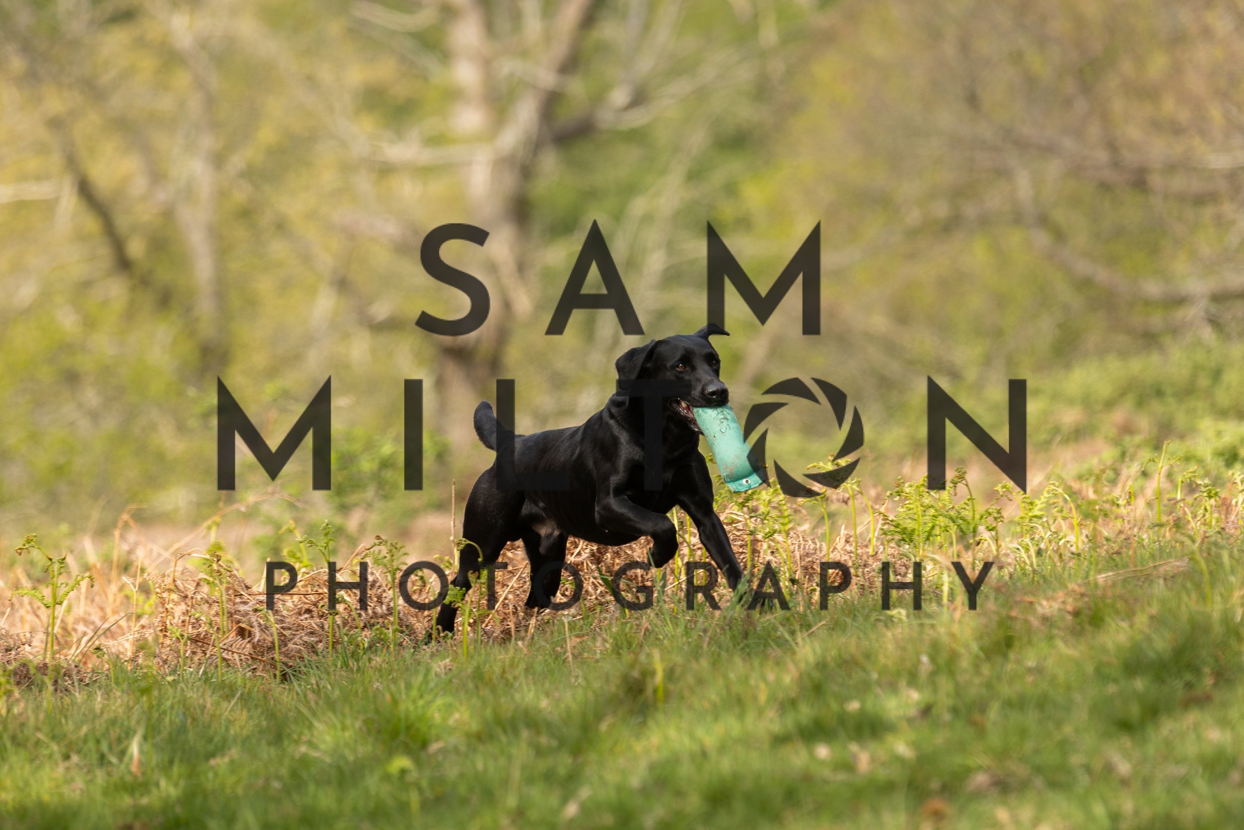 Gun Dog Challenge-125.jpg