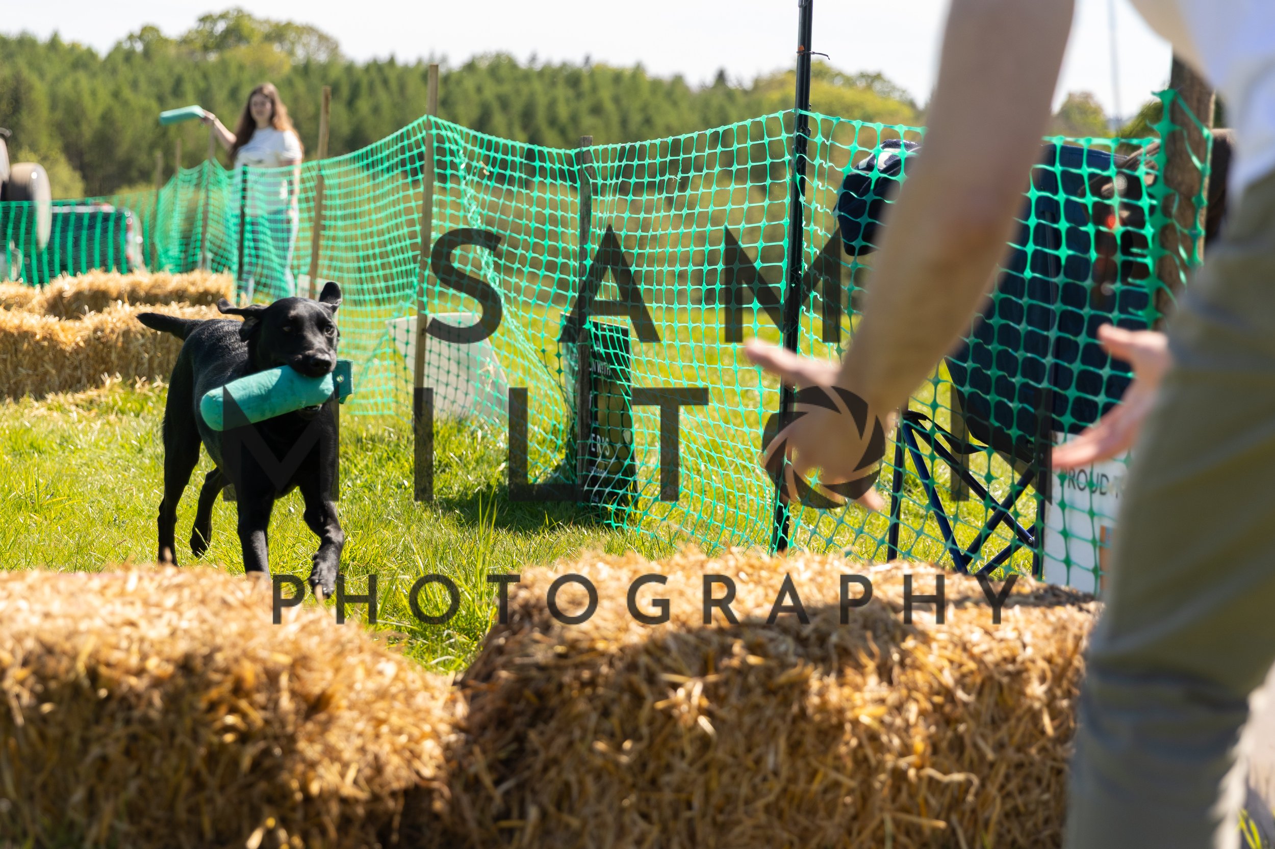 Gun Dog Challenge-392.jpg