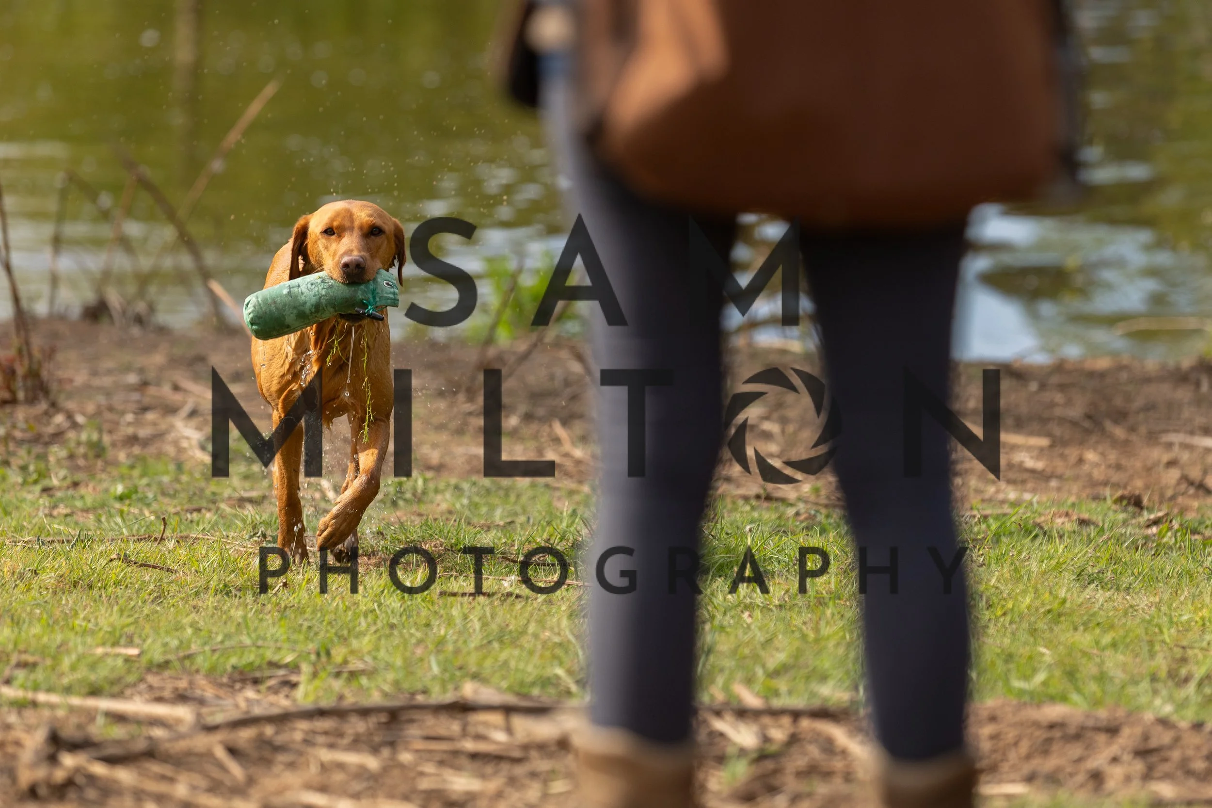 Gun Dog Challenge-31.jpg