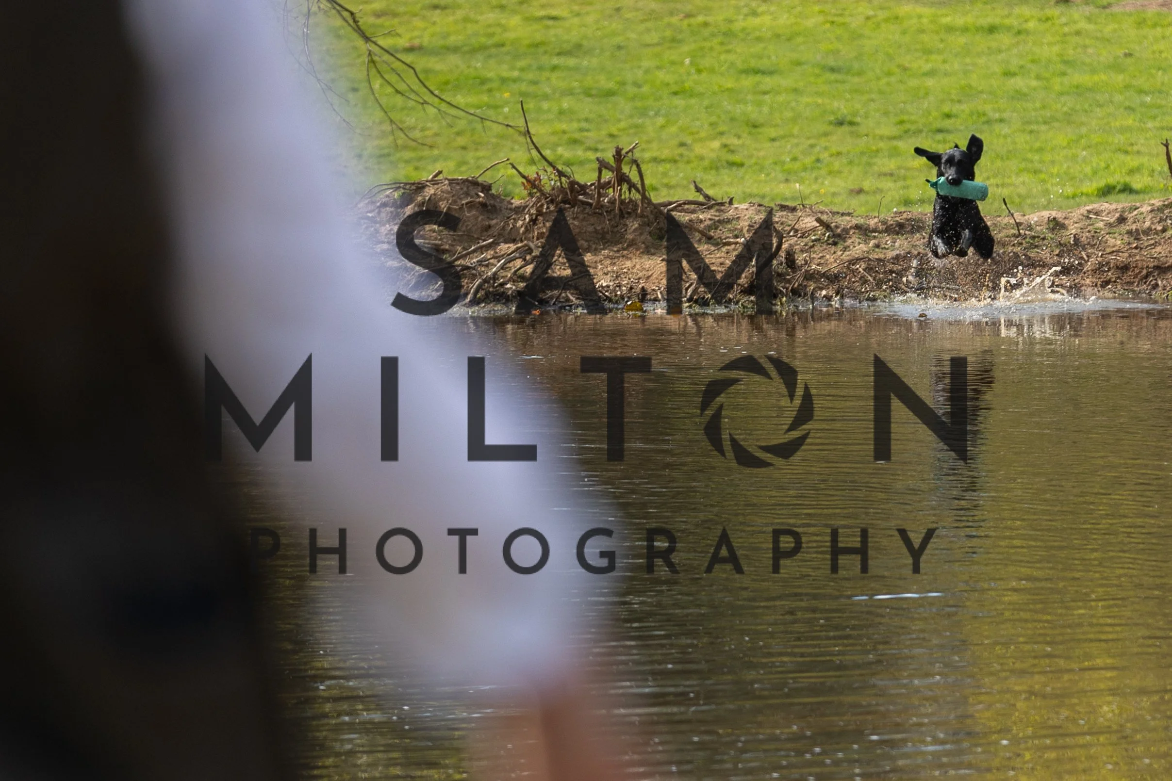 Gun Dog Challenge-86.jpg