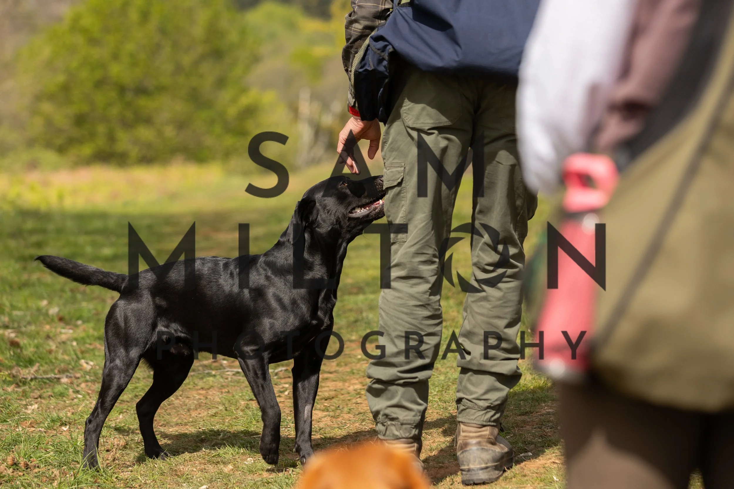 Gun Dog Challenge-164.jpg