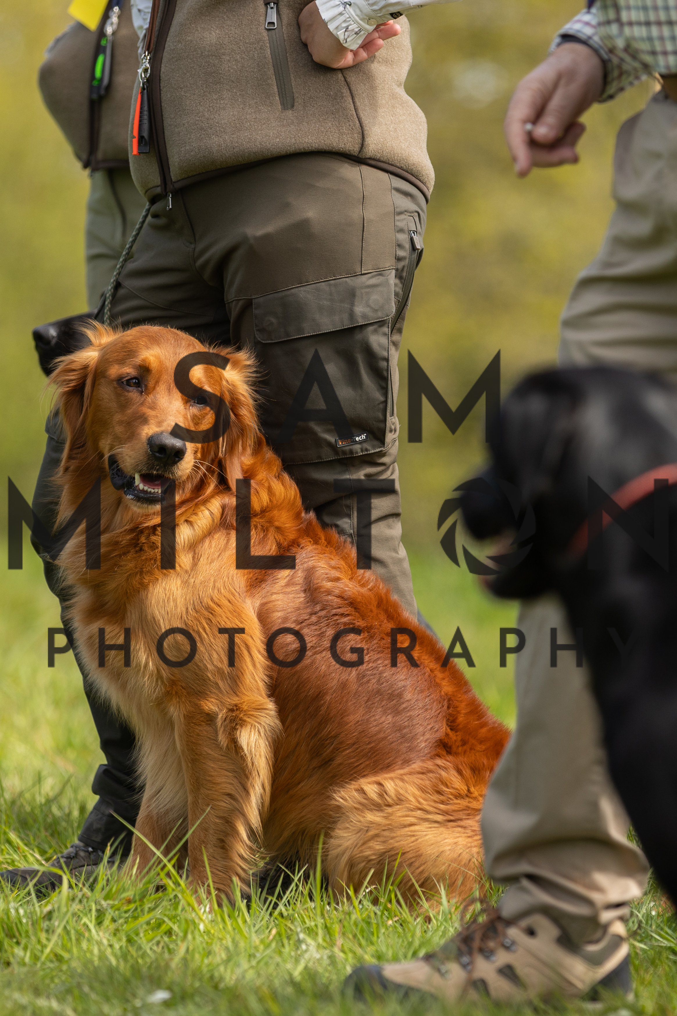 Gun Dog Challenge-187.jpg