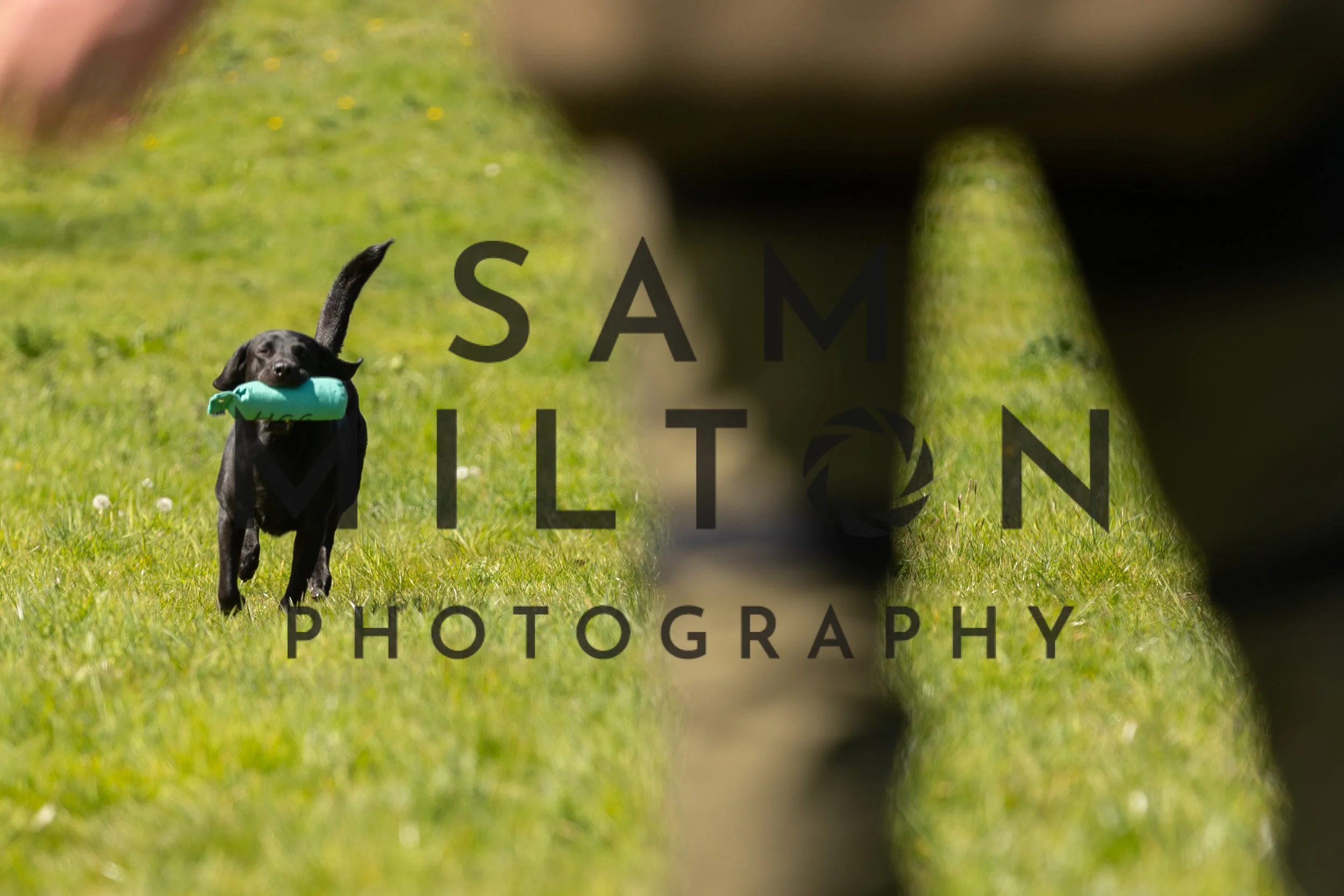 Gun Dog Challenge-241.jpg