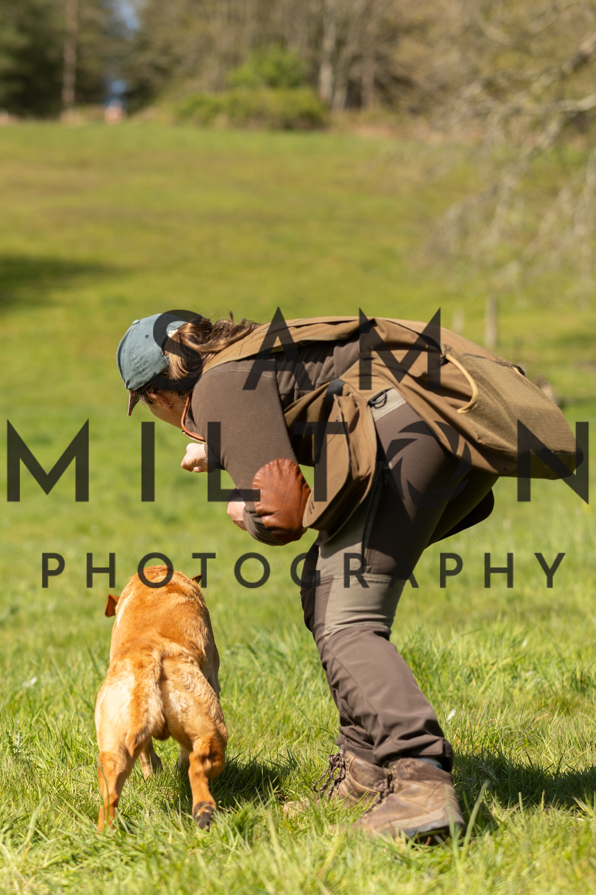 Gun Dog Challenge-240.jpg
