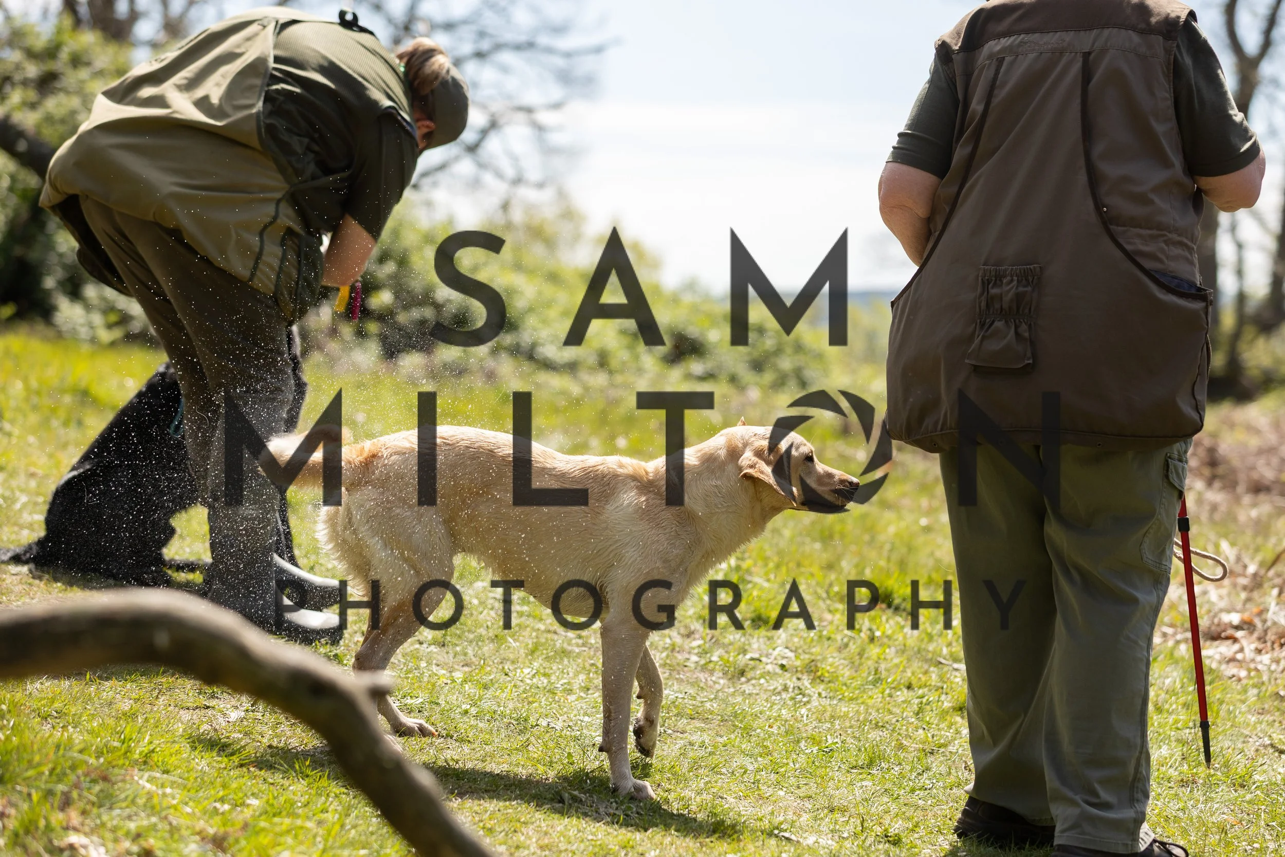 Gun Dog Challenge-287.jpg