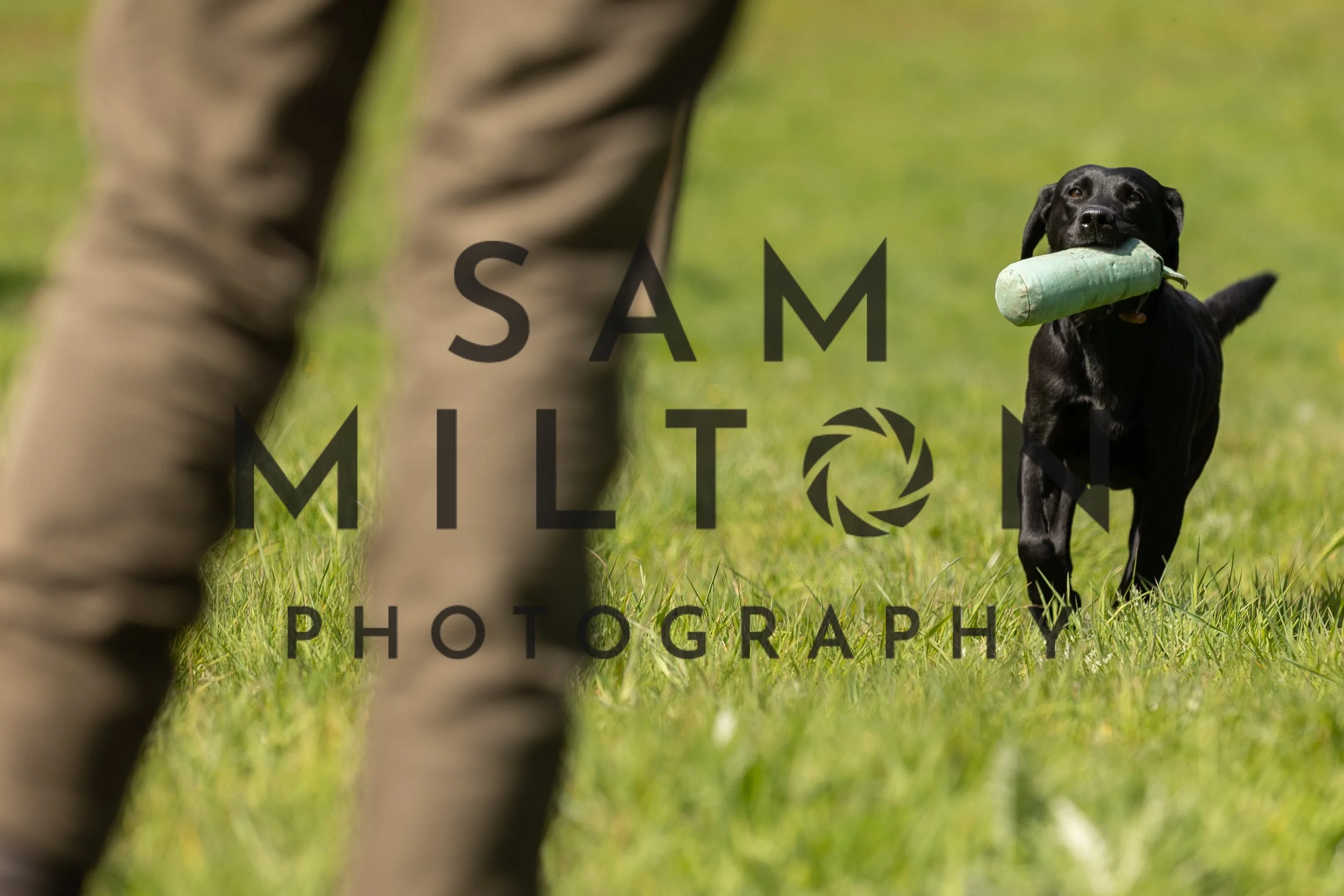 Gun Dog Challenge-217.jpg