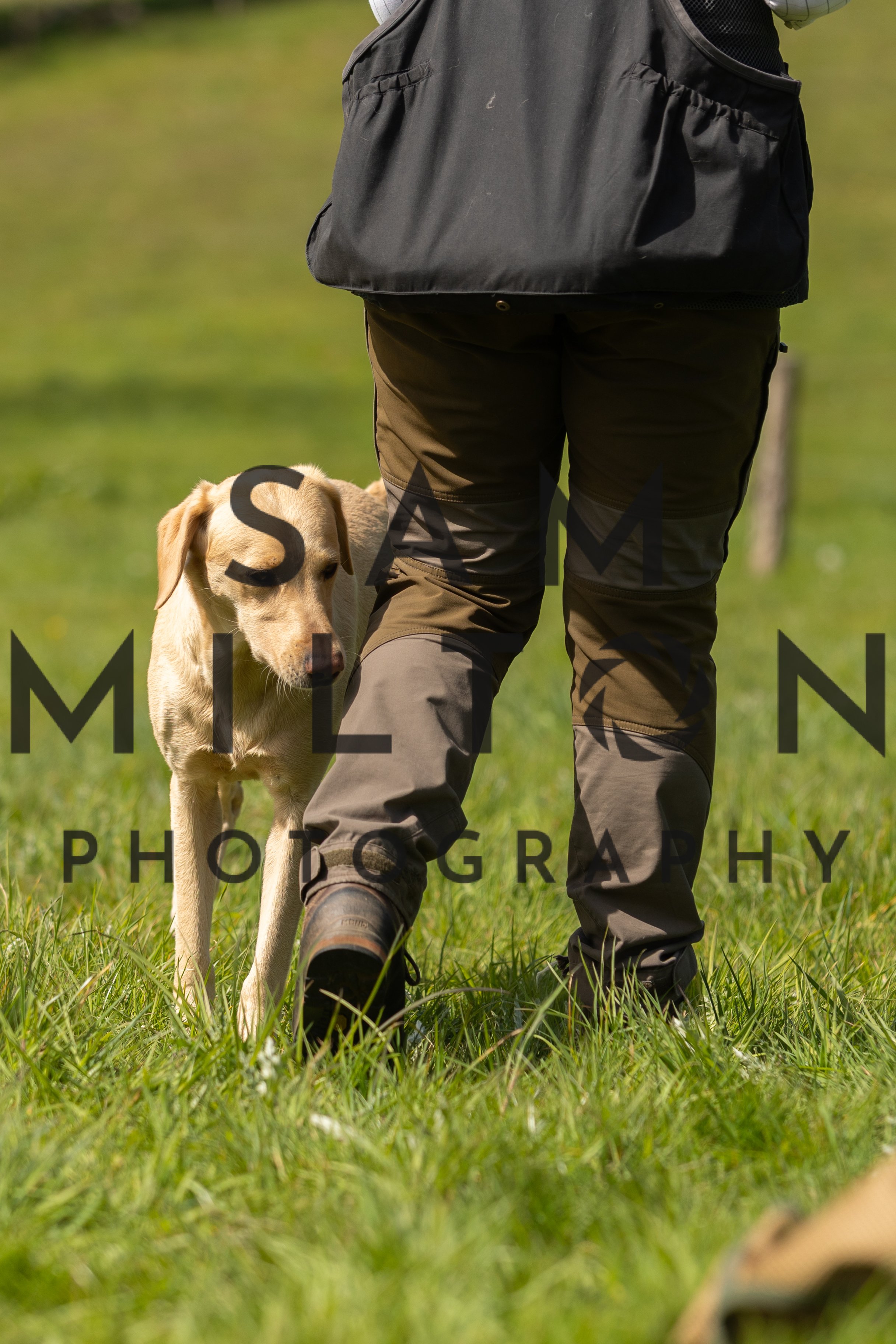 Gun Dog Challenge-215.jpg