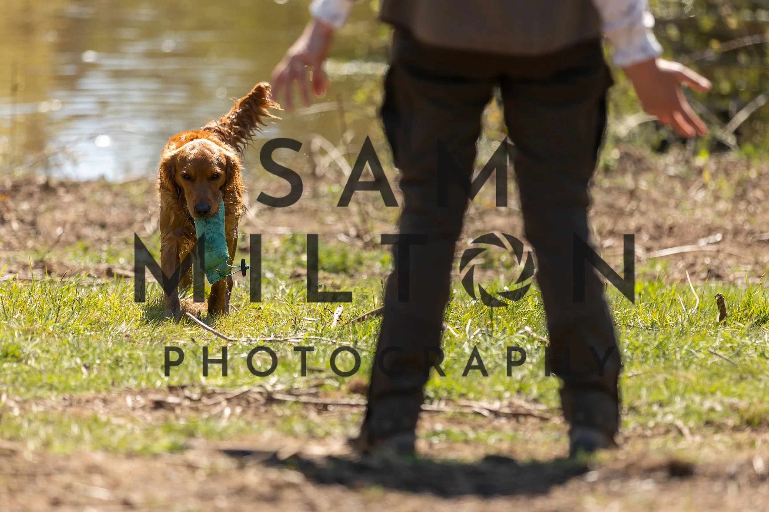 Gun Dog Challenge-378.jpg