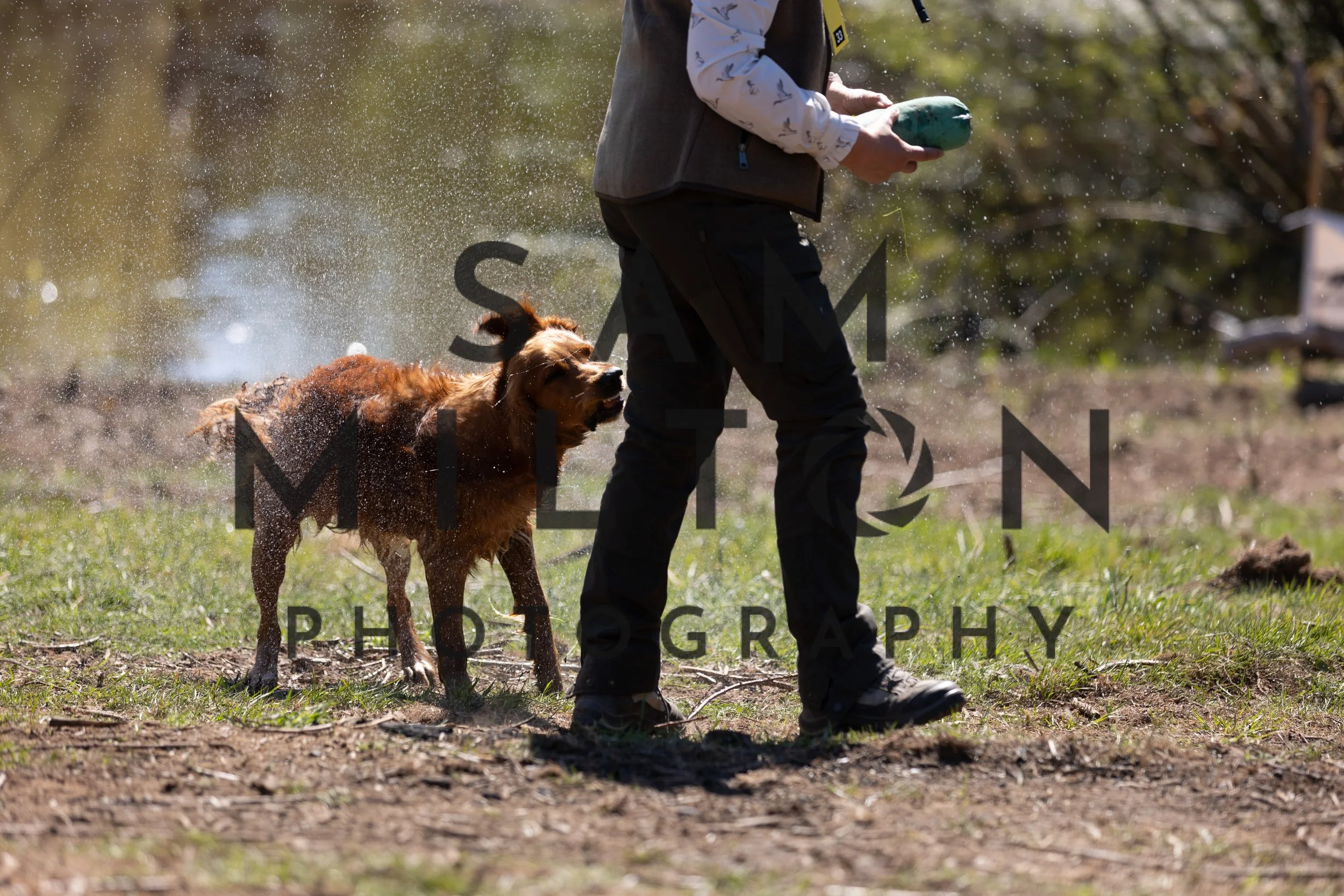 Gun Dog Challenge-381.jpg