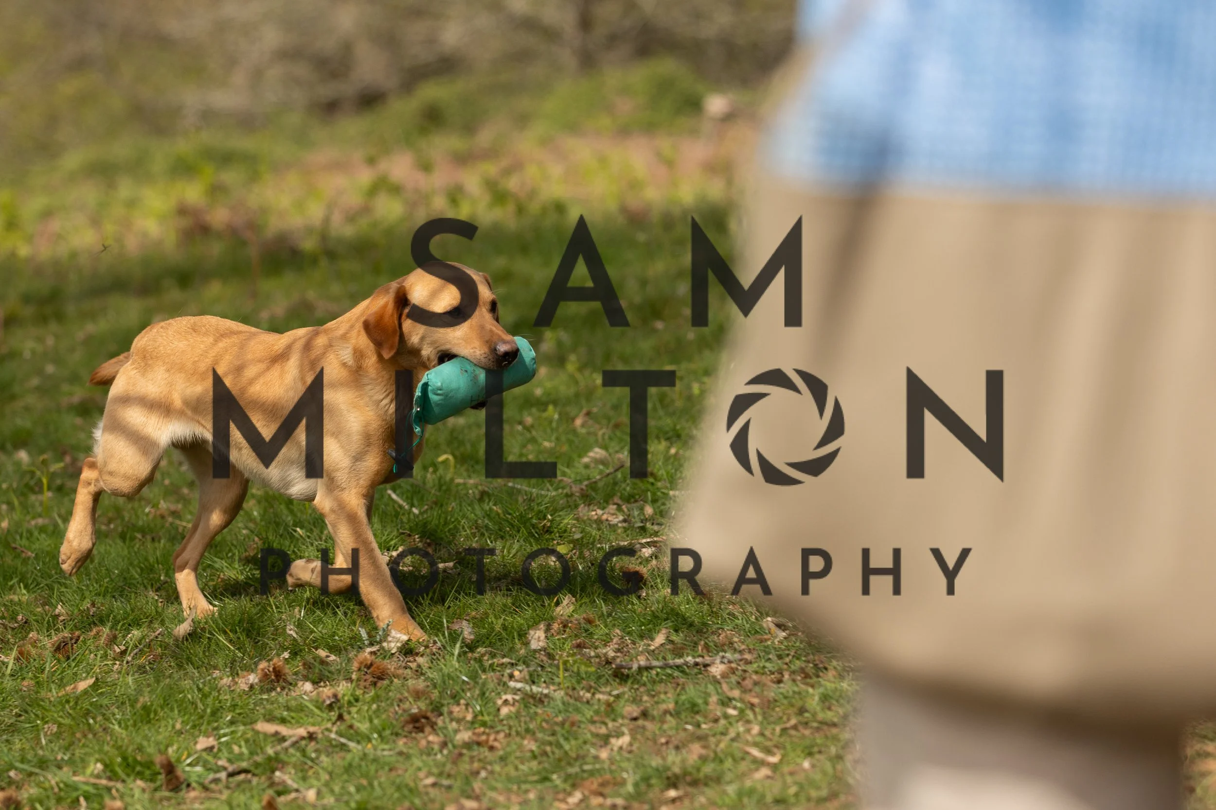 Gun Dog Challenge-149.jpg