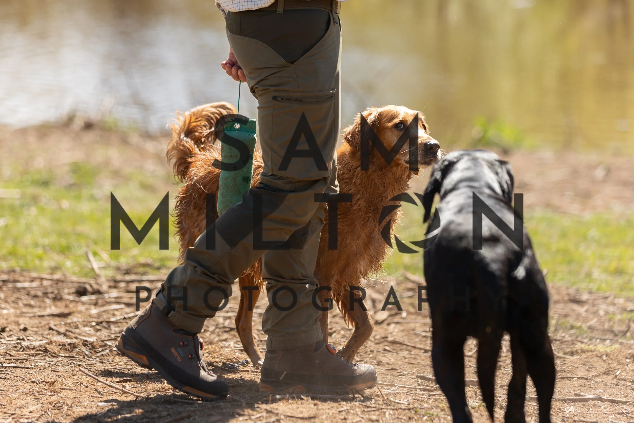 Gun Dog Challenge-388.jpg