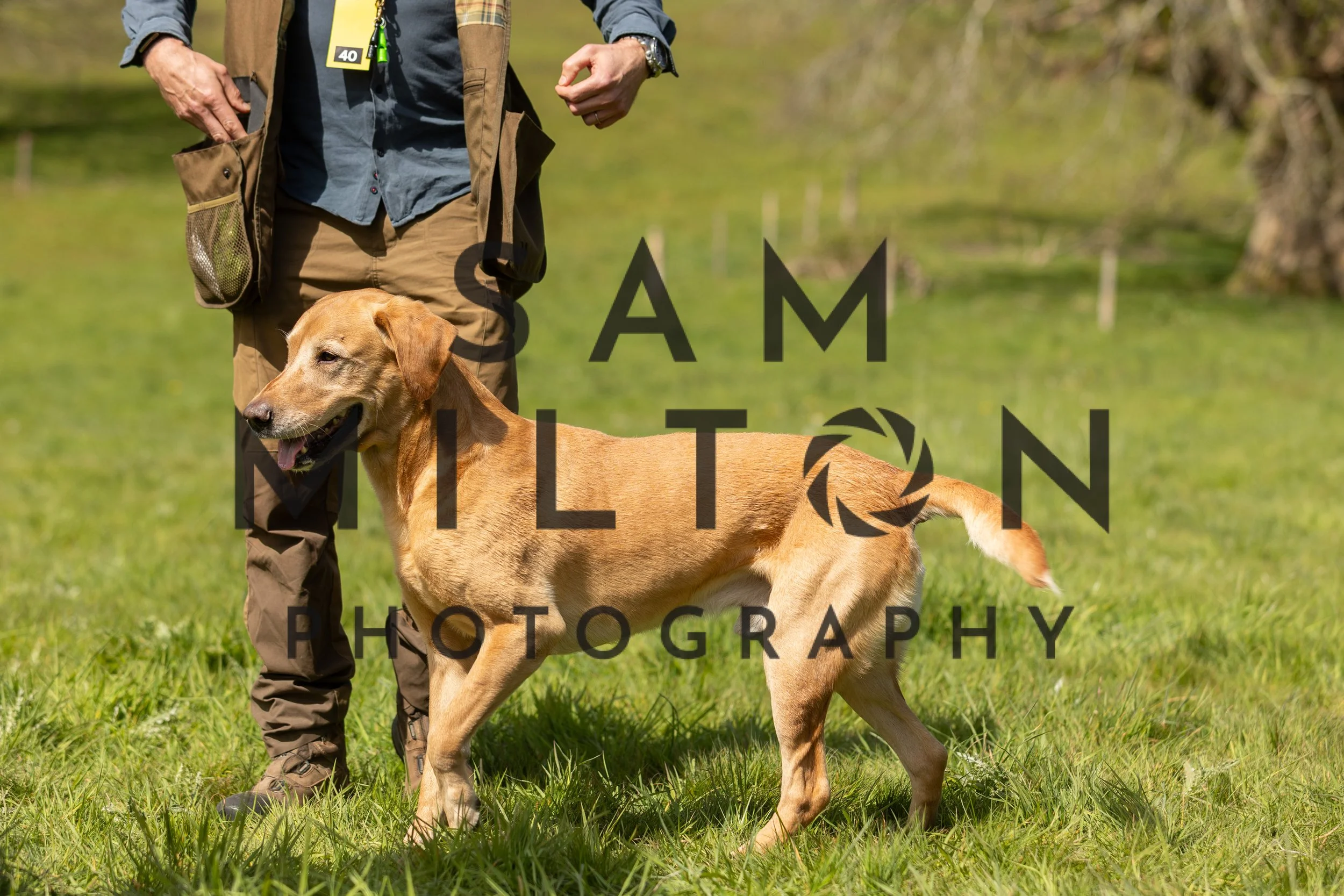 Gun Dog Challenge-212.jpg