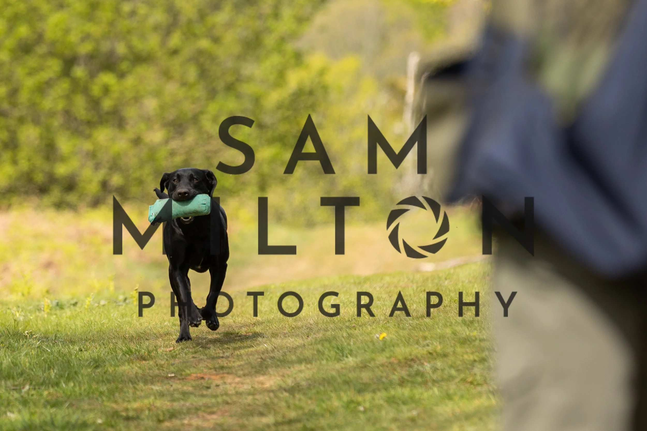 Gun Dog Challenge-162.jpg