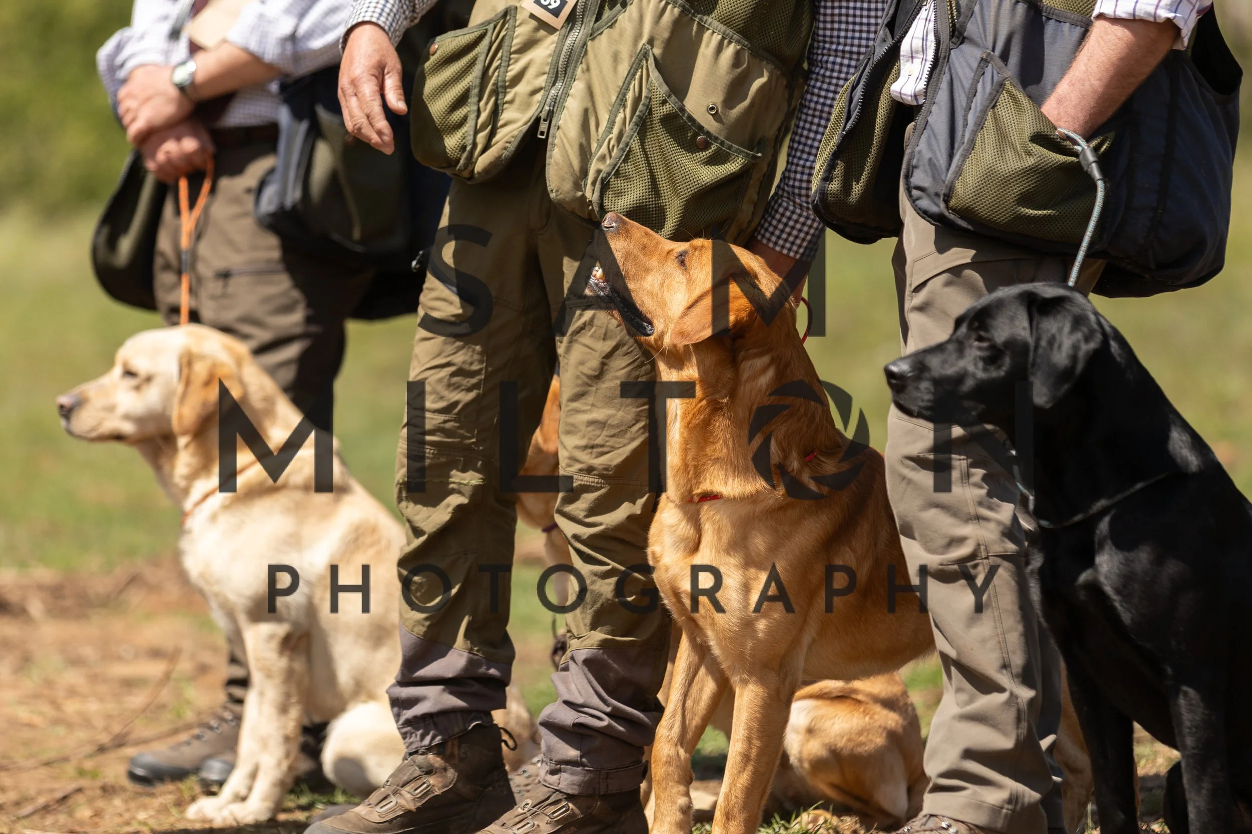 Gun Dog Challenge-335.jpg