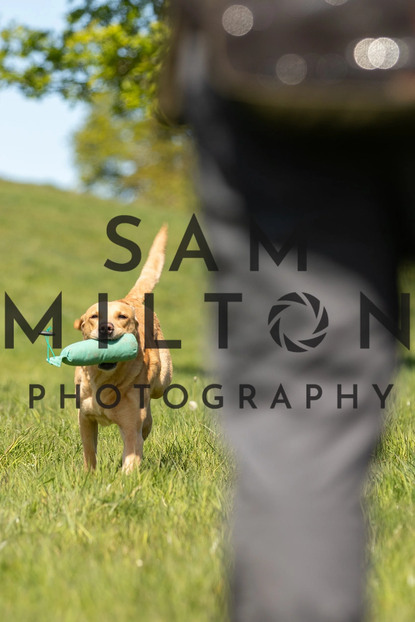 Gun Dog Challenge-243.jpg