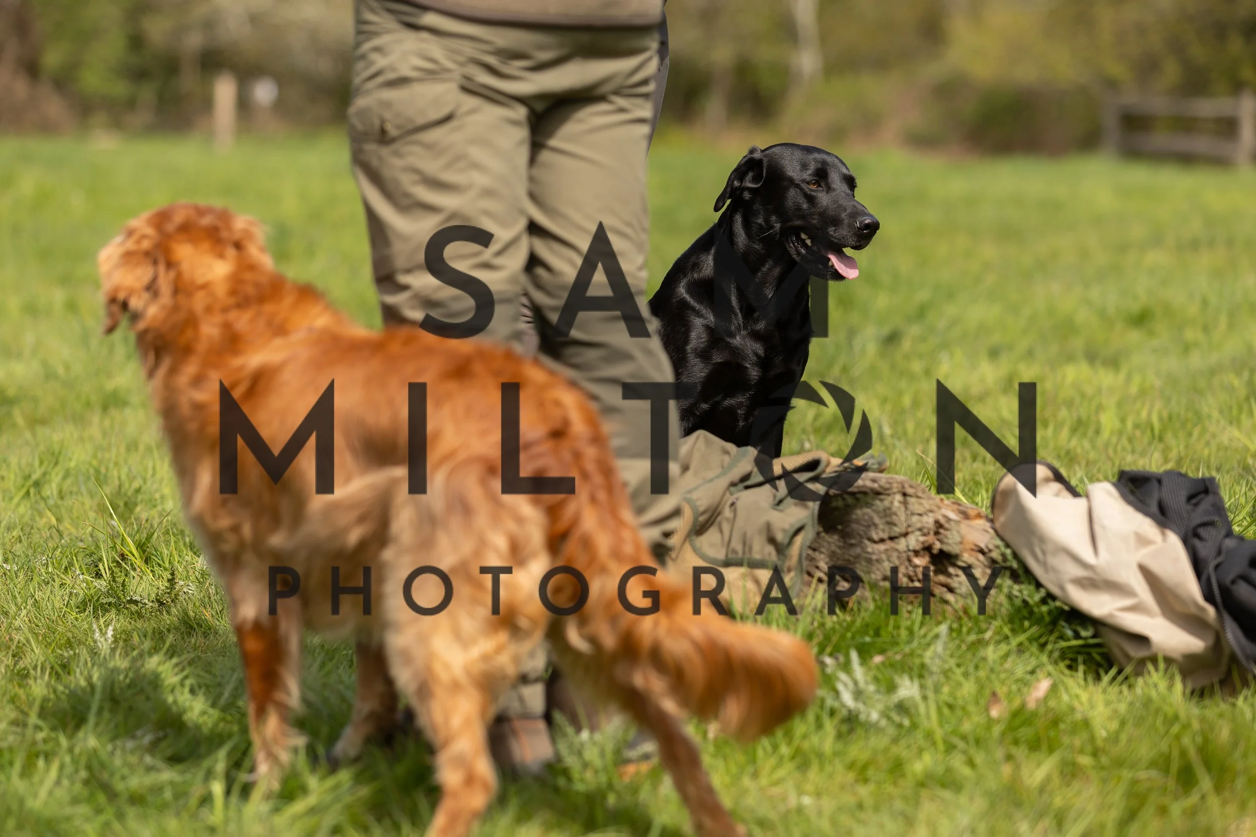 Gun Dog Challenge-197.jpg